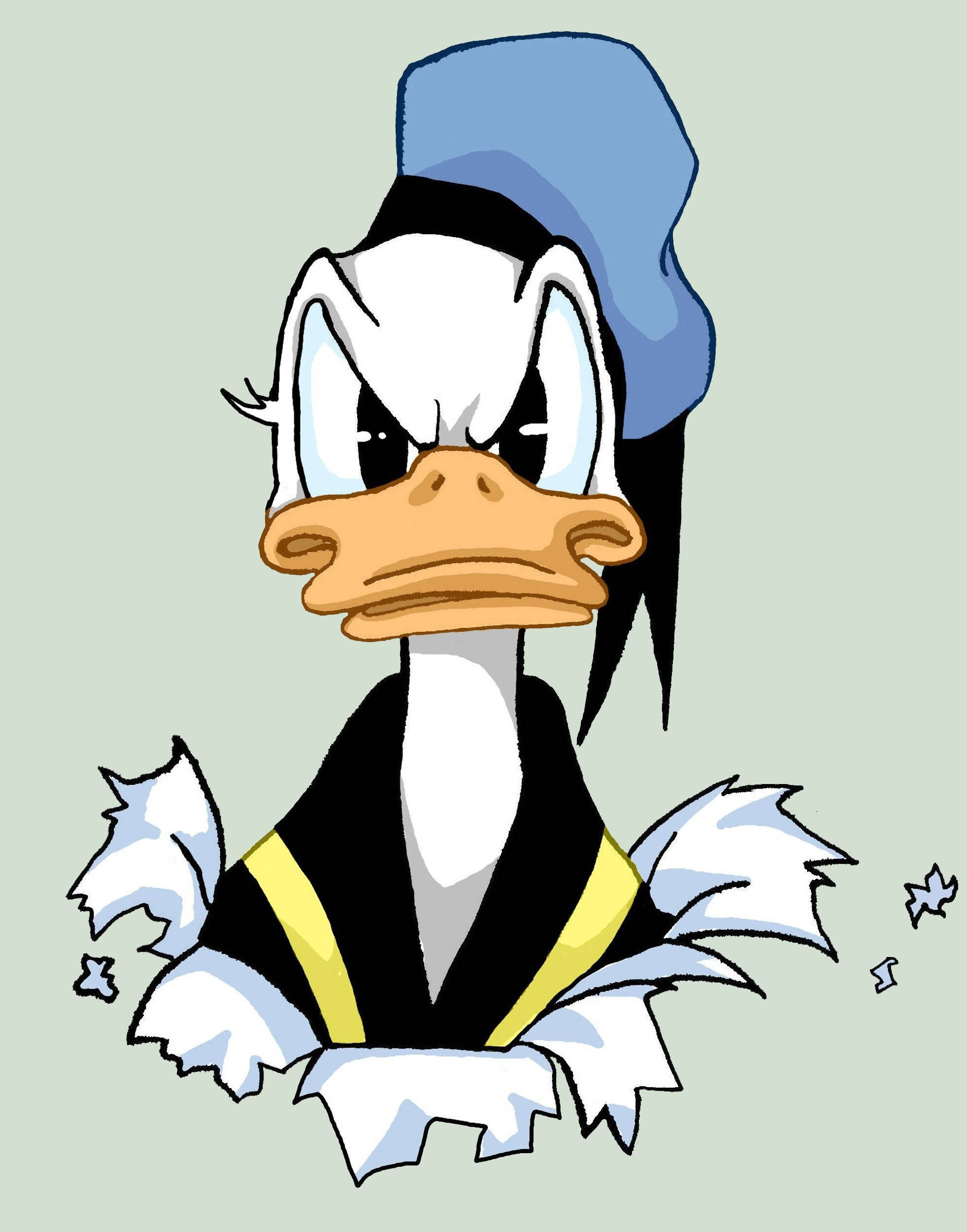 Donald Duck, blue hat, black vest, Full HD Phone Wallpaper