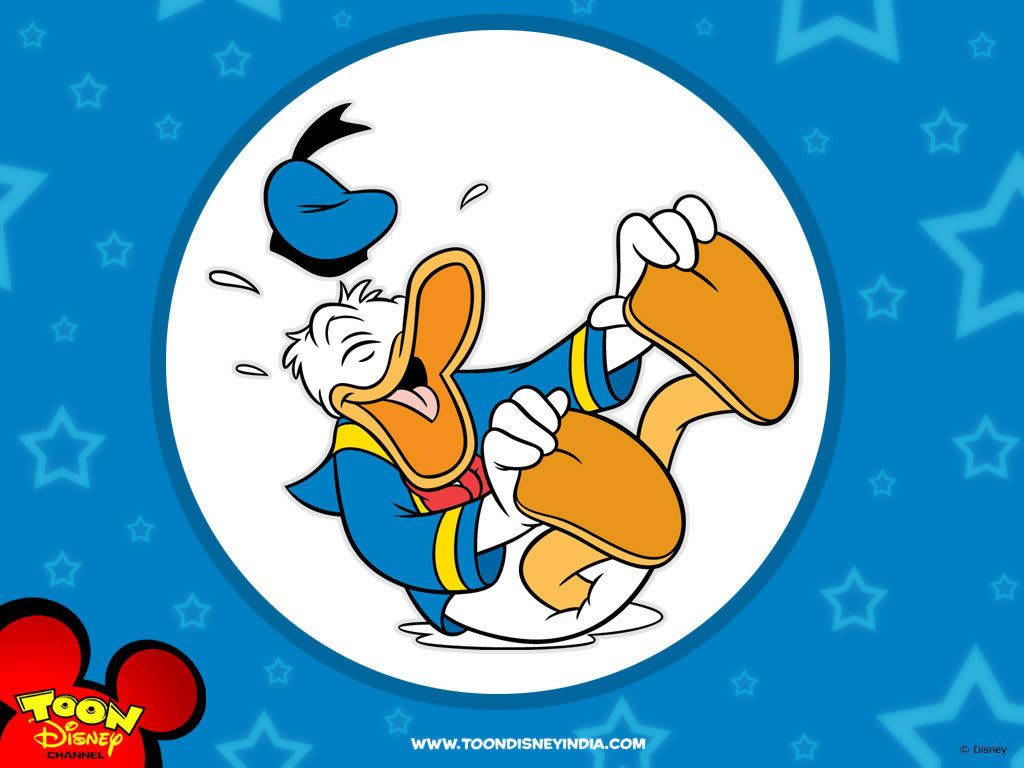 Donald Duck, blue starry background, white circle, SD Desktop Wallpaper