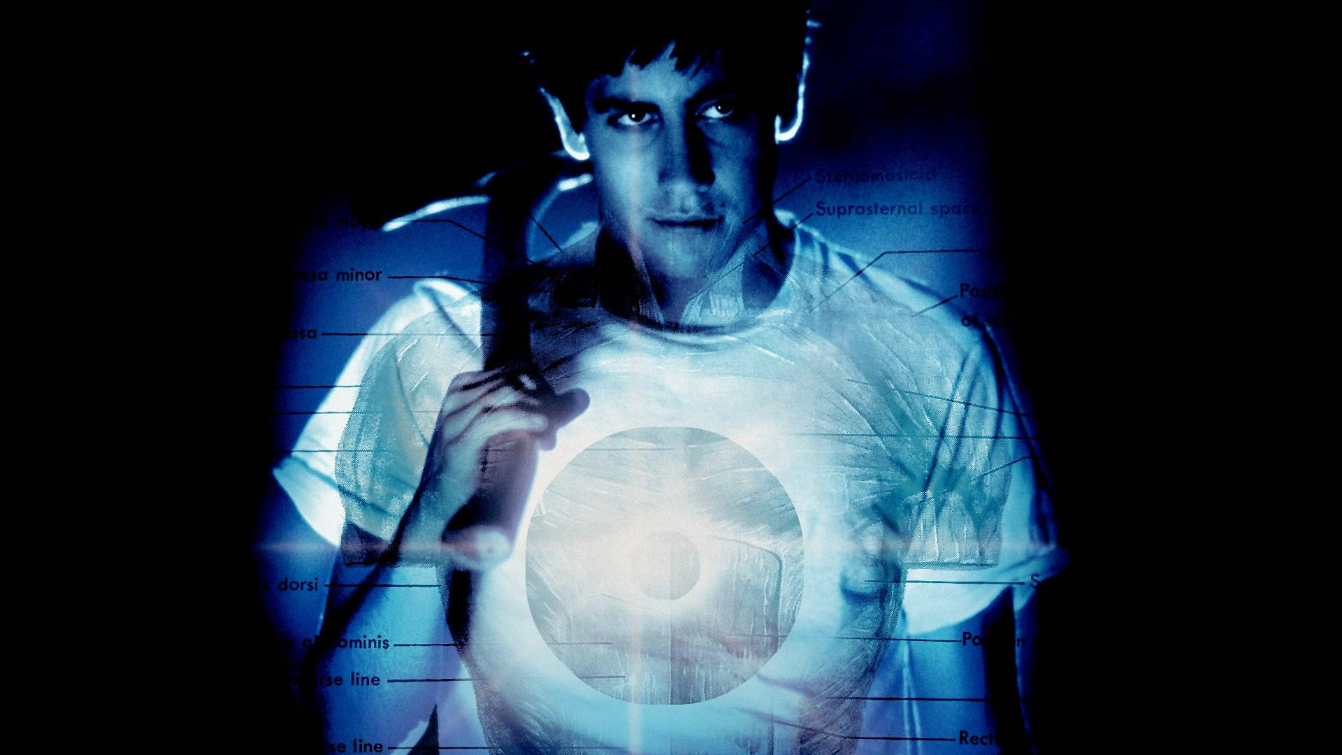 Donnie Darko, glowing blue t-shirt, anatomical labels, Full HD Desktop Wallpaper