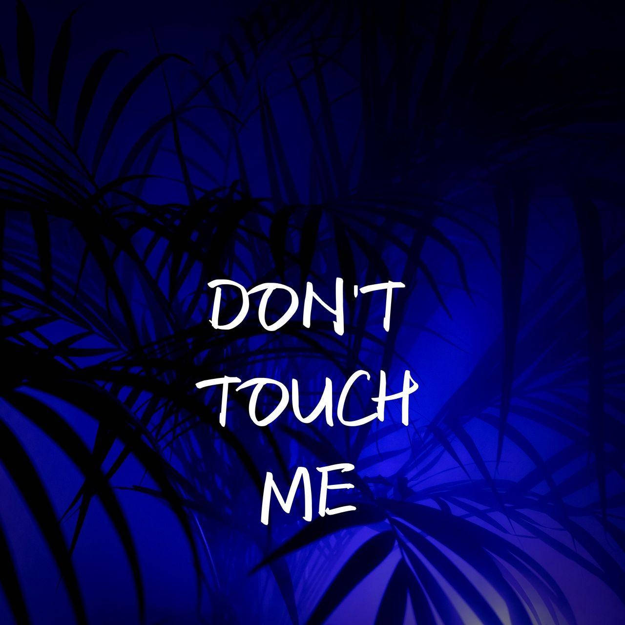 Dont Touch My iPad, white text, dark blue tropical leaves, HD Desktop Wallpaper