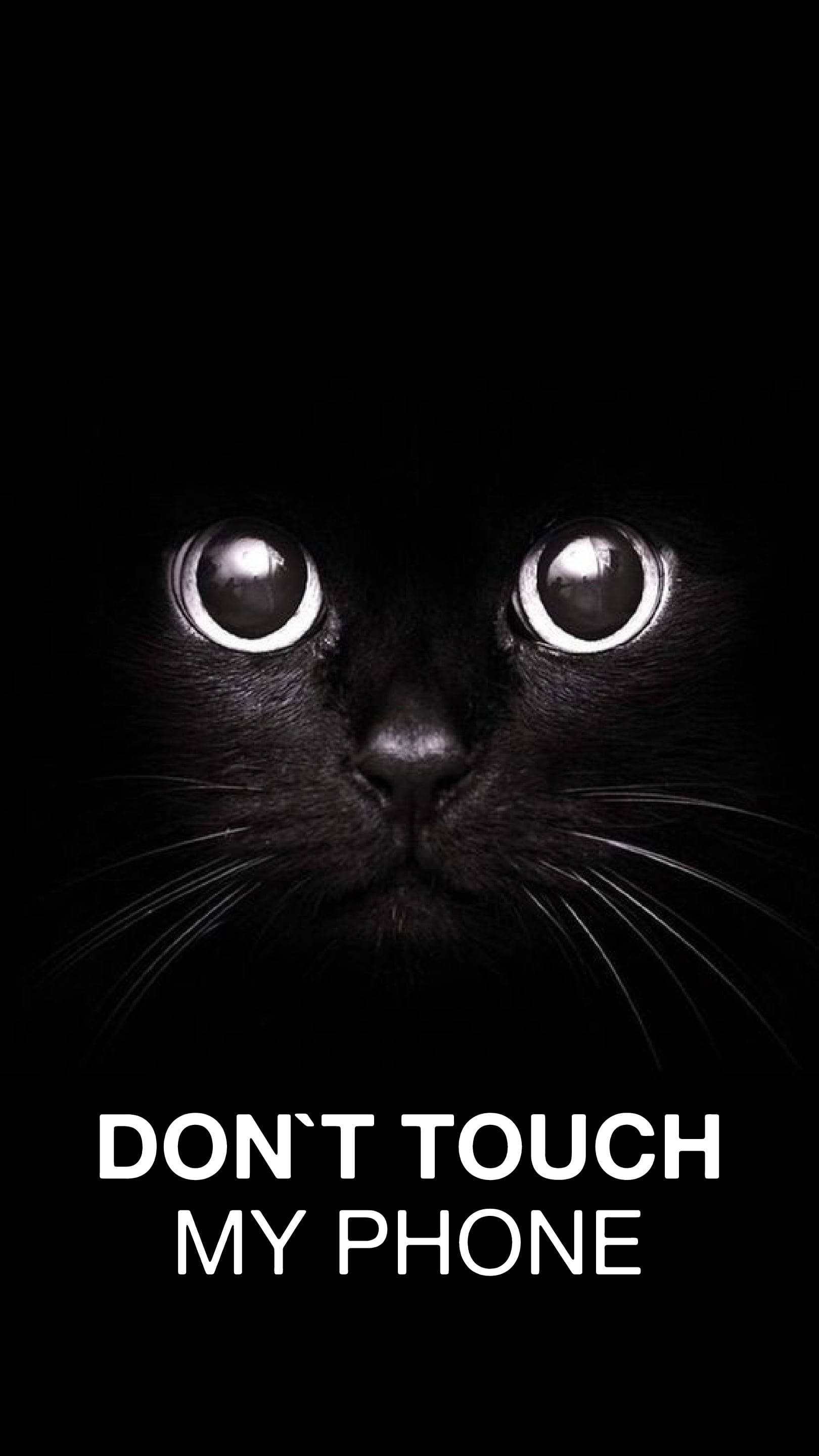black cat, glowing eyes, bold text, 2K Phone Wallpaper