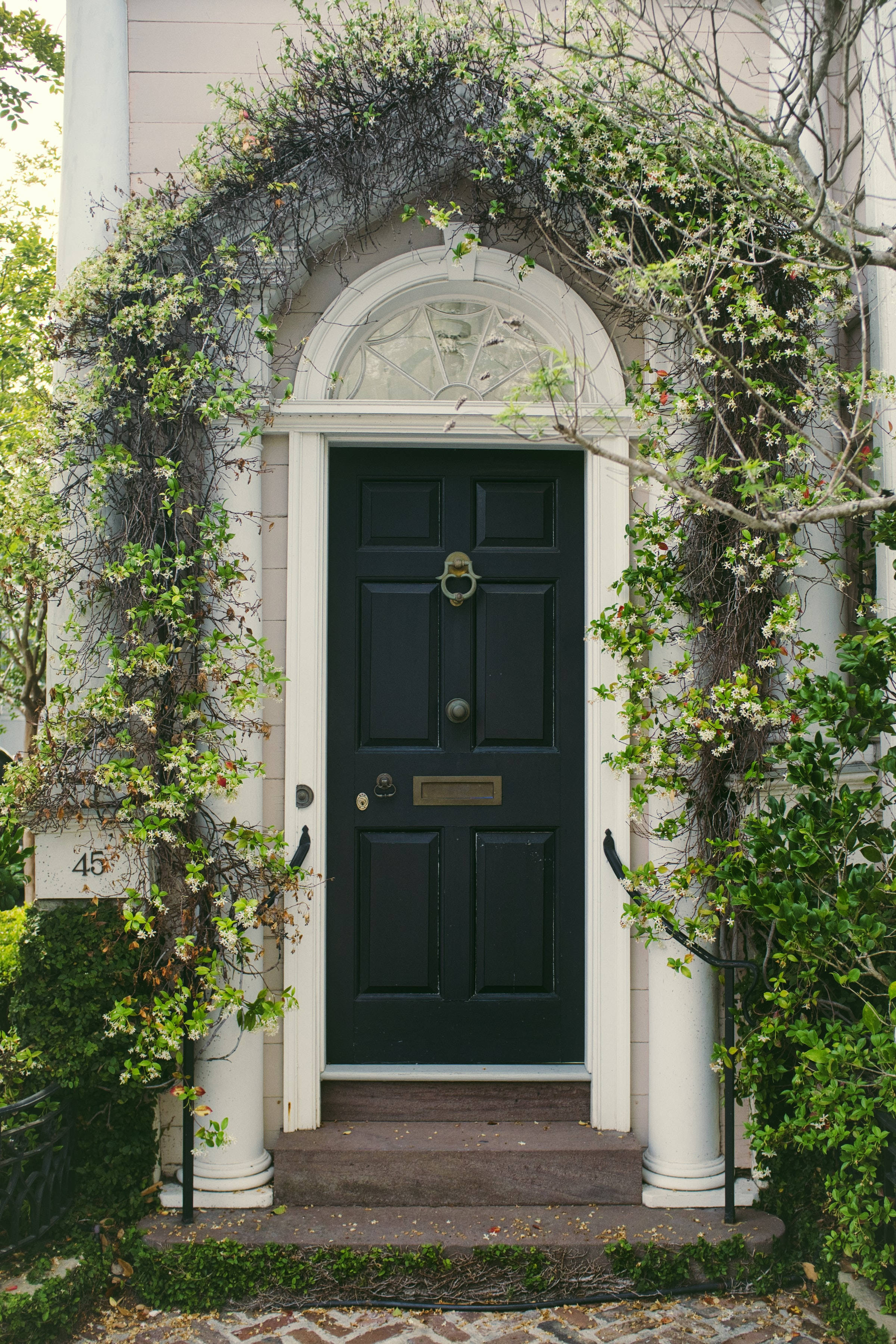 vintage dark green wood door, white columns, lush climbing vines, 2K Phone Wallpaper