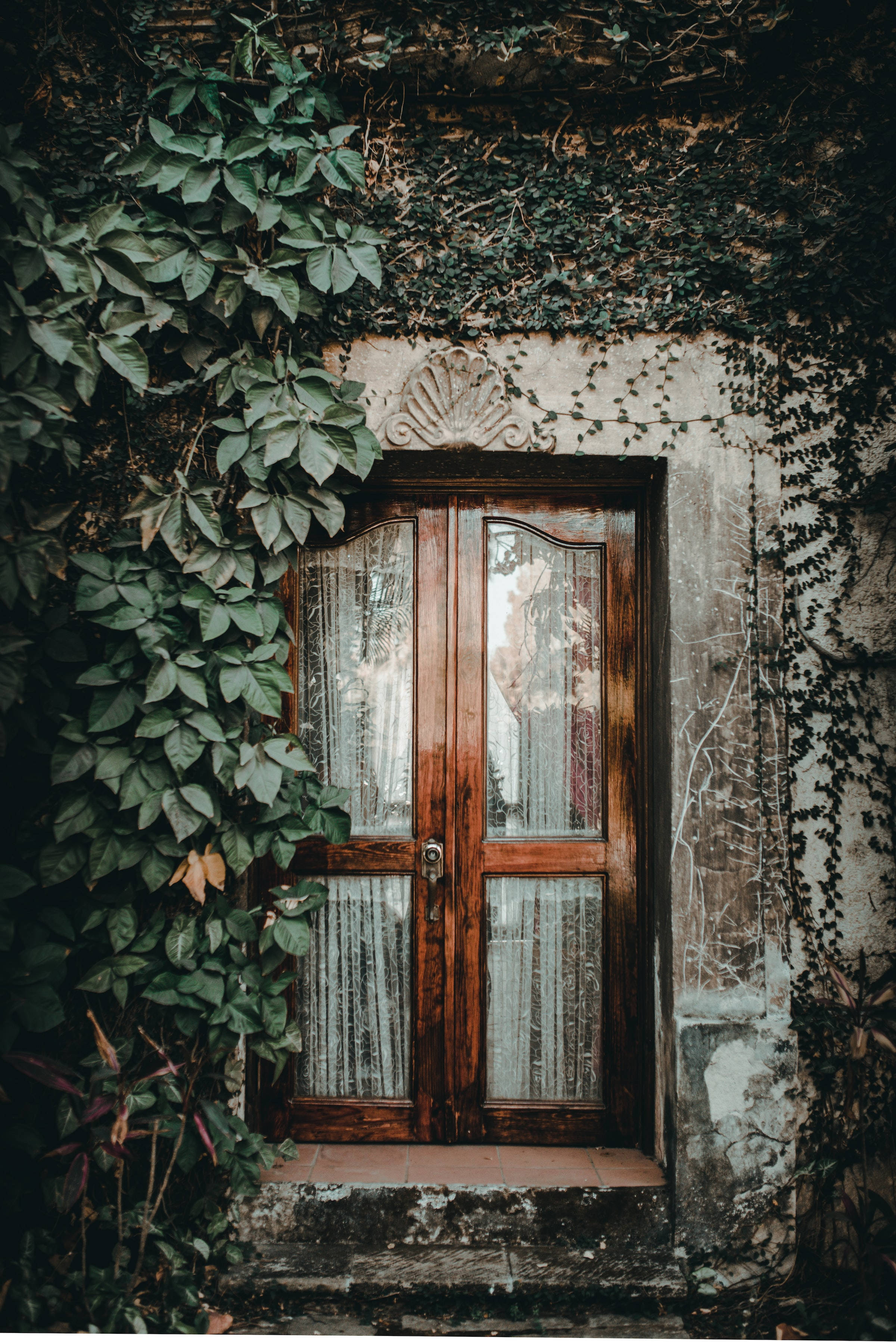 wooden door, glass panes, lace curtains, 2K Phone Wallpaper