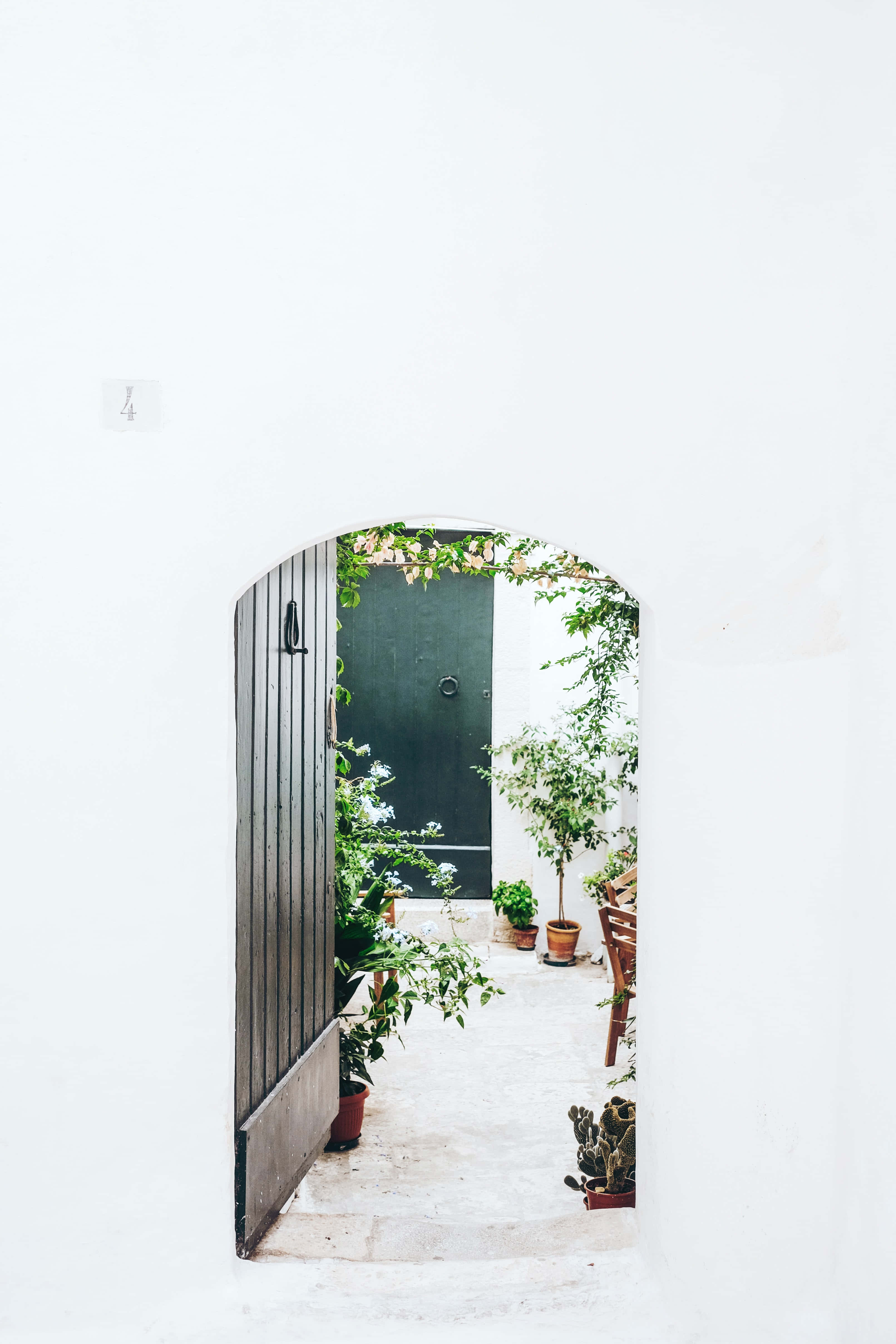 weathered wooden door, sunlit courtyard, potted plants, 4K Phone Wallpaper