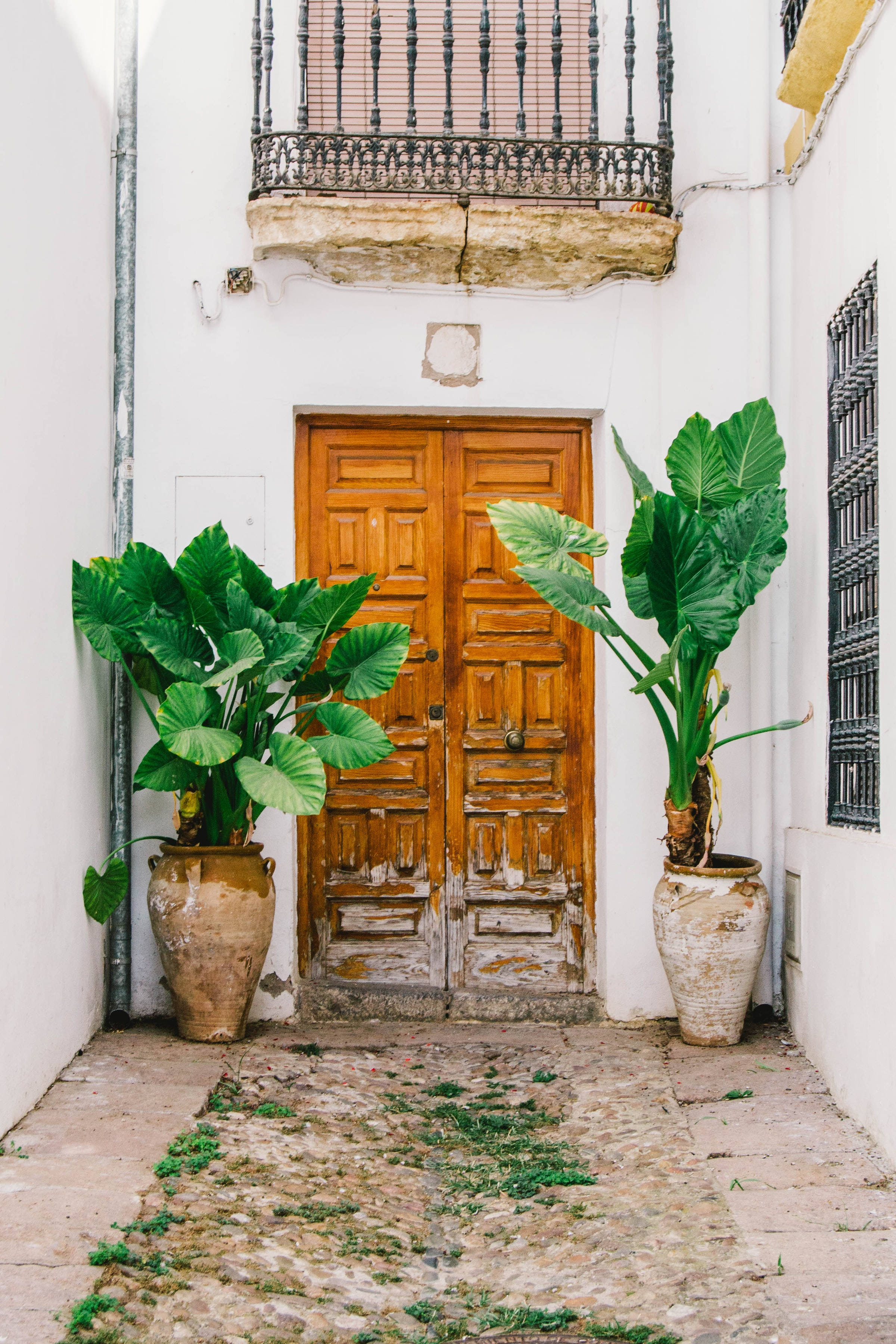 Spanish-Style Wooden Door, potted plants, white-walled alley, 2K Phone Wallpaper