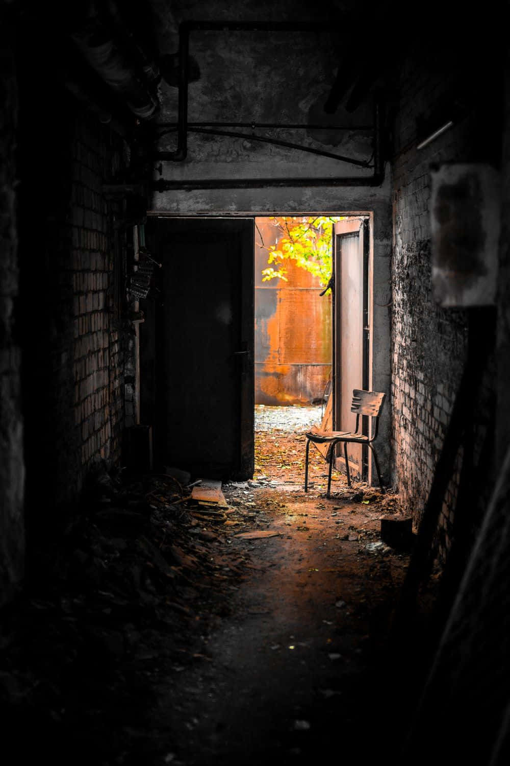 open doorway, warm autumn light, falling leaves, HD Phone Wallpaper