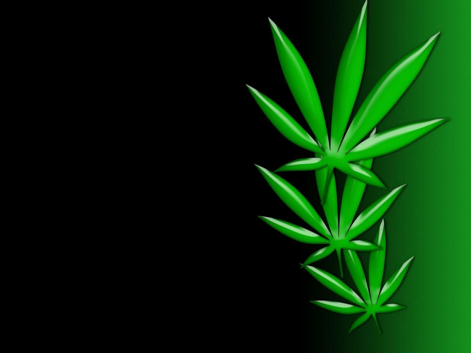 Shit Dope Weed Desktop, glossy green cannabis leaves, black-to-green gradient background, HD Desktop Wallpaper