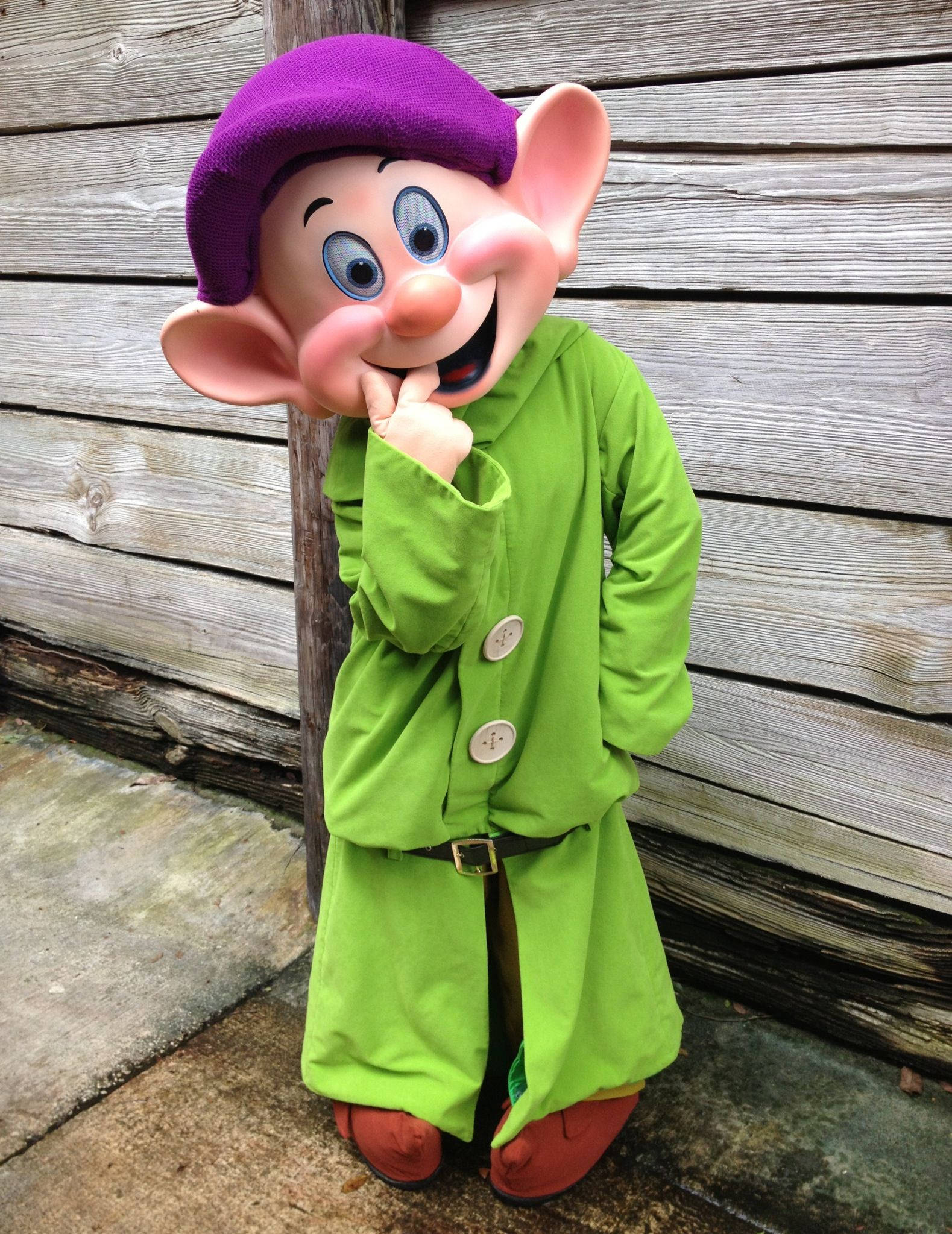 Dopey, green coat, purple hat, Full HD Phone Wallpaper