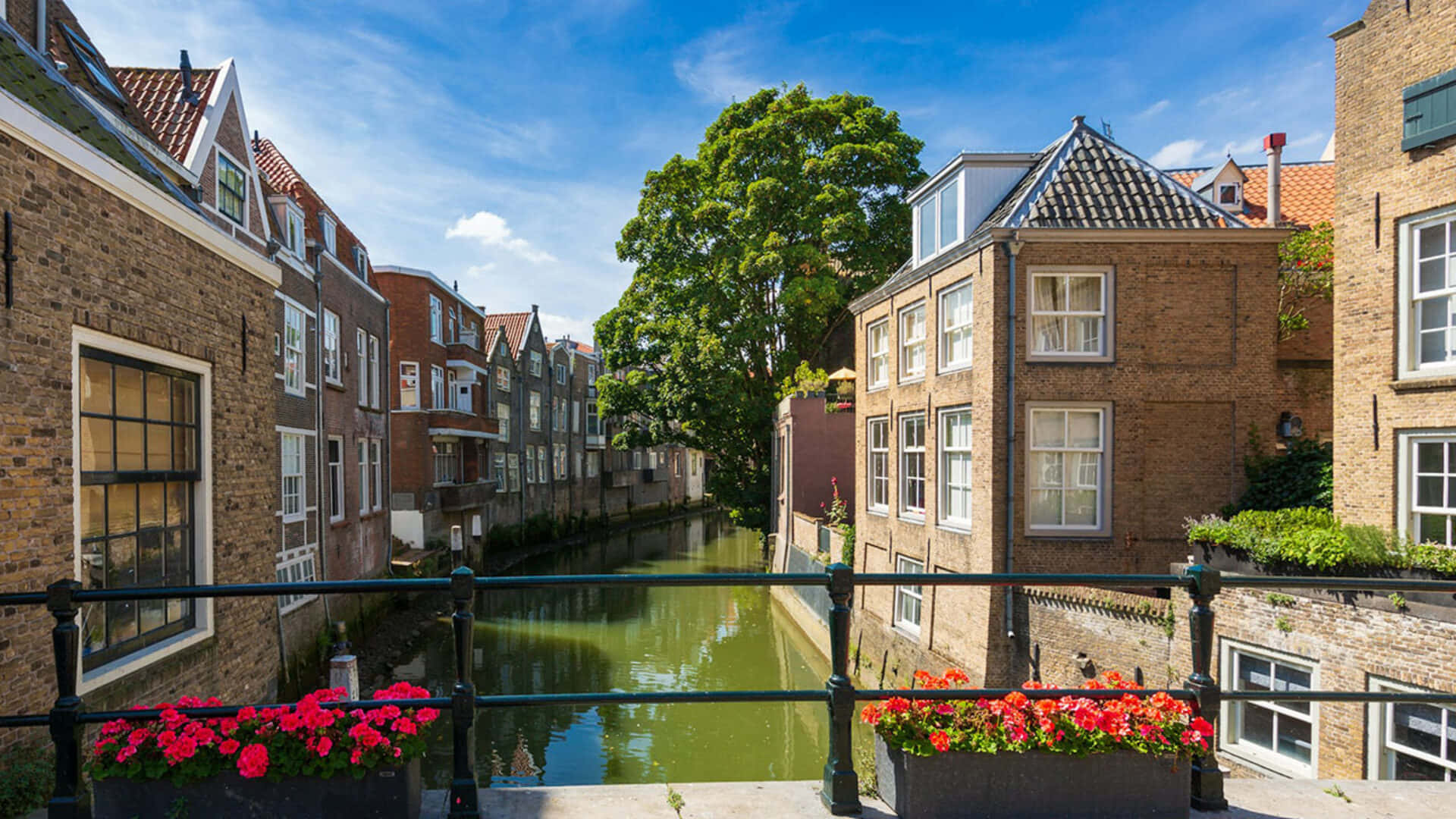 Dordrecht, historic canal view, brick buildings, Full HD Desktop Wallpaper