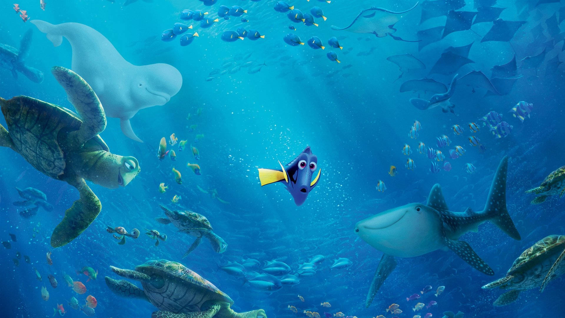 Dory, turtles, whales, Full HD Desktop Wallpaper