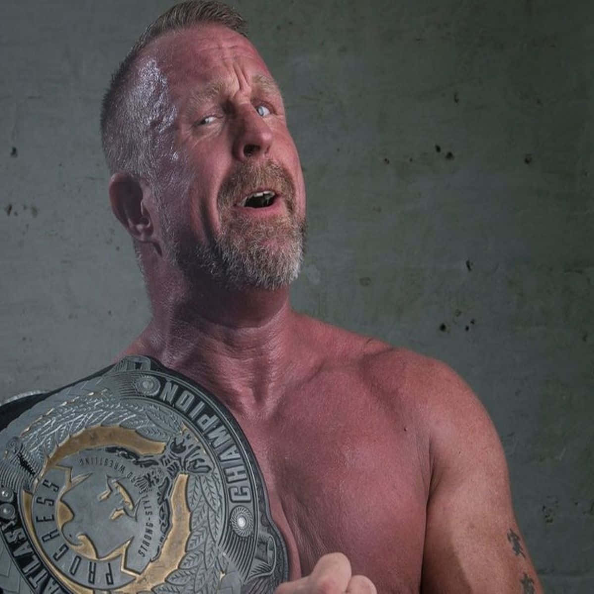 Doug Williams, championship belt, textured gray wall, SD Desktop Wallpaper