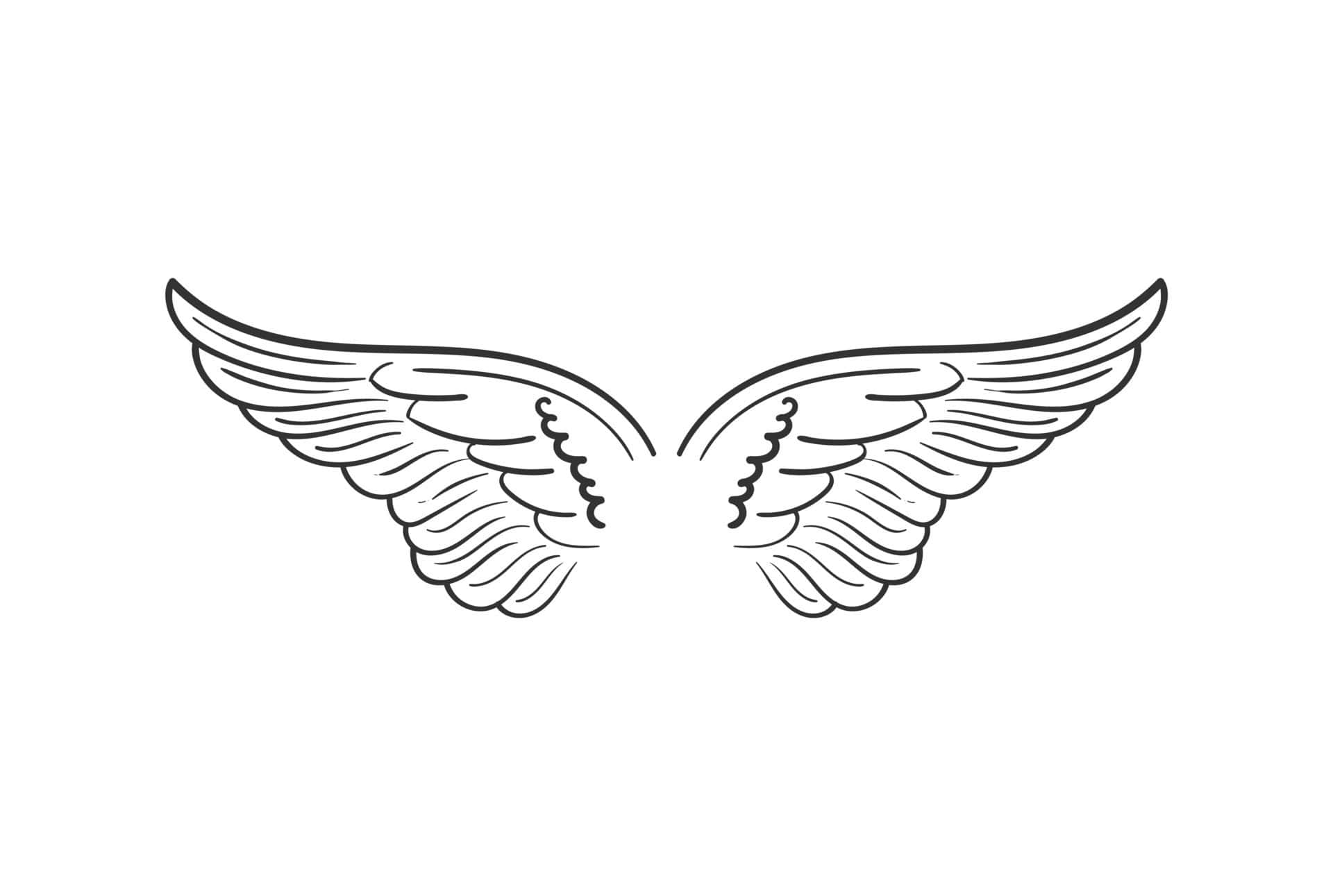 Dove Wings, black line drawing, angel wings, Full HD Desktop Wallpaper