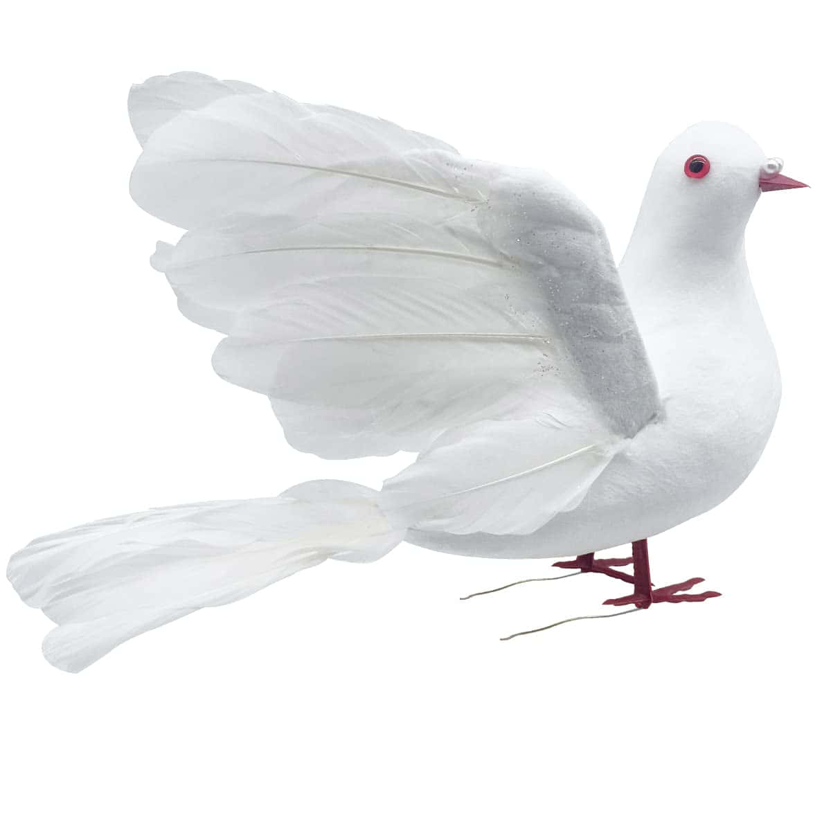 dove wings, white dove, outstretched wings, SD Desktop Wallpaper