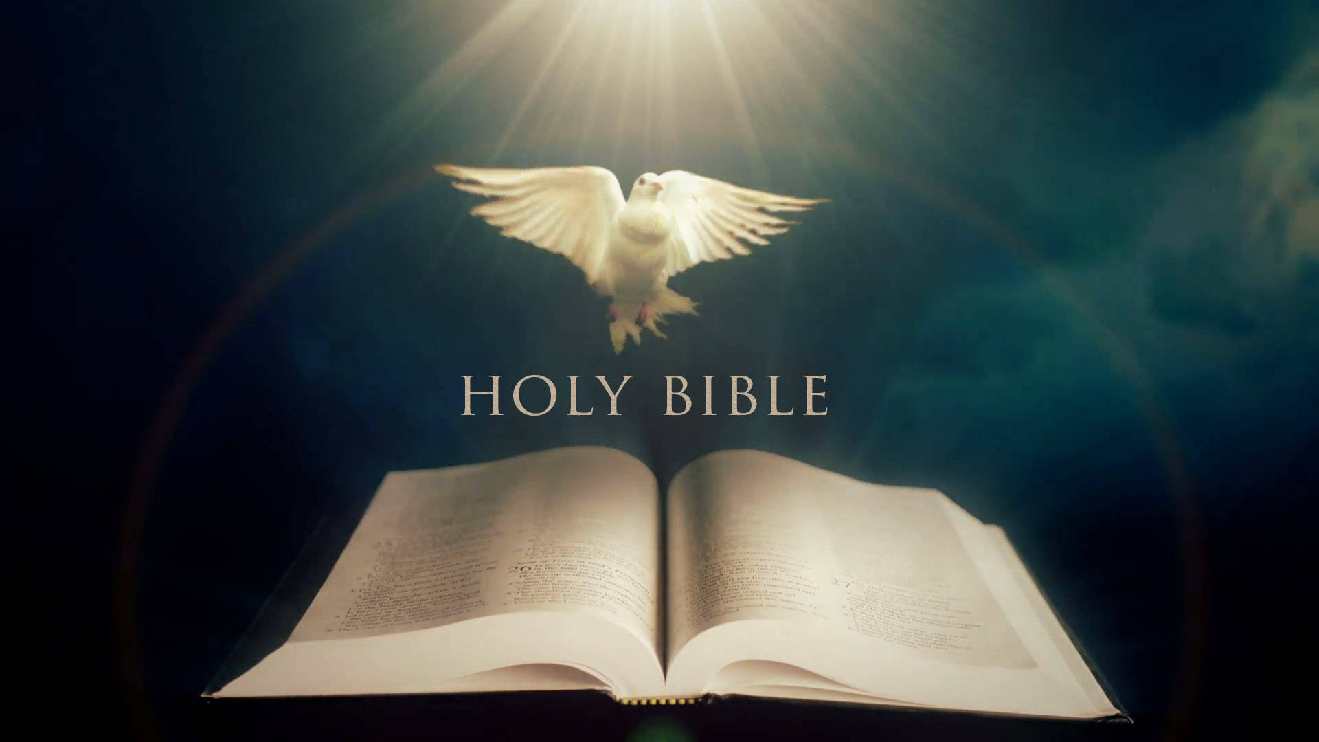 white dove, holy bible, divine light, Full HD Desktop Wallpaper