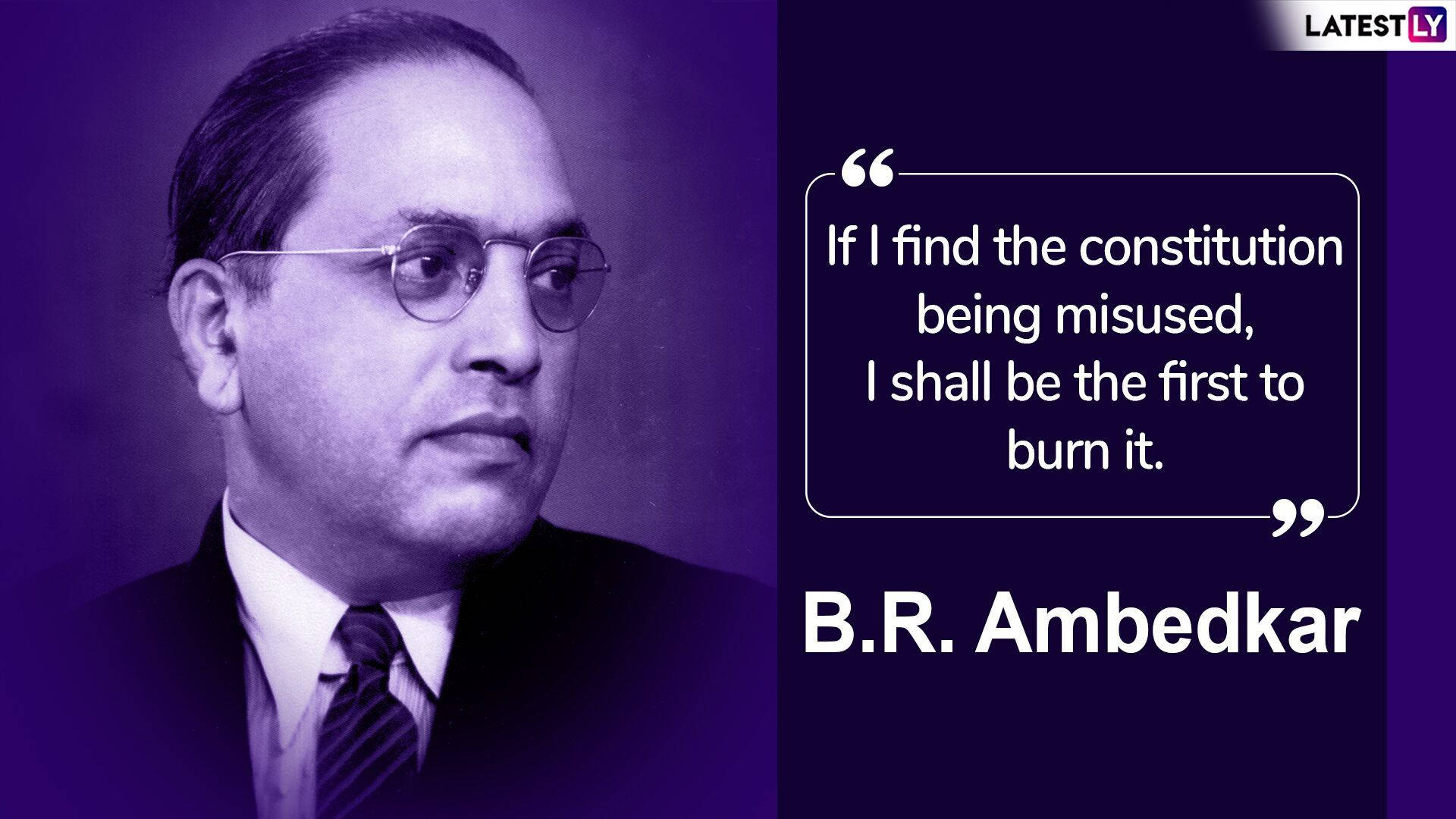 Dr Babasaheb Ambedkar, constitution quote, purple-toned photo, Full HD Desktop Wallpaper