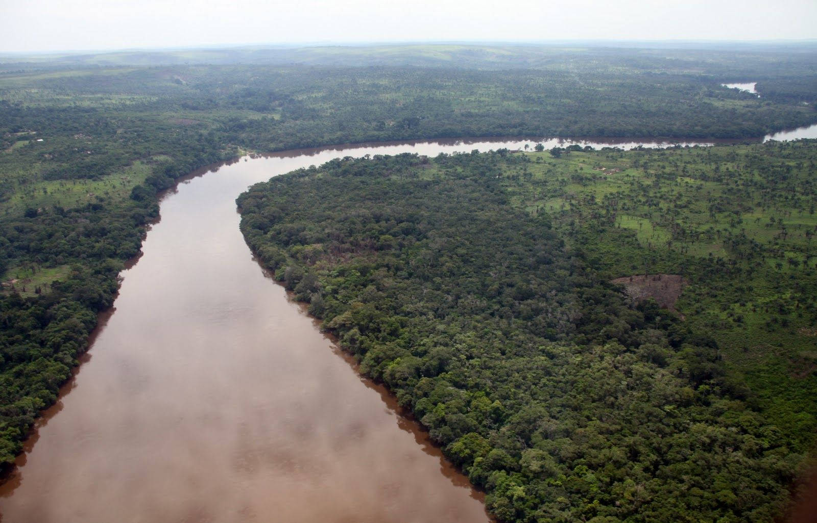 Congo Forest, long river, winding muddy river, HD Desktop Wallpaper