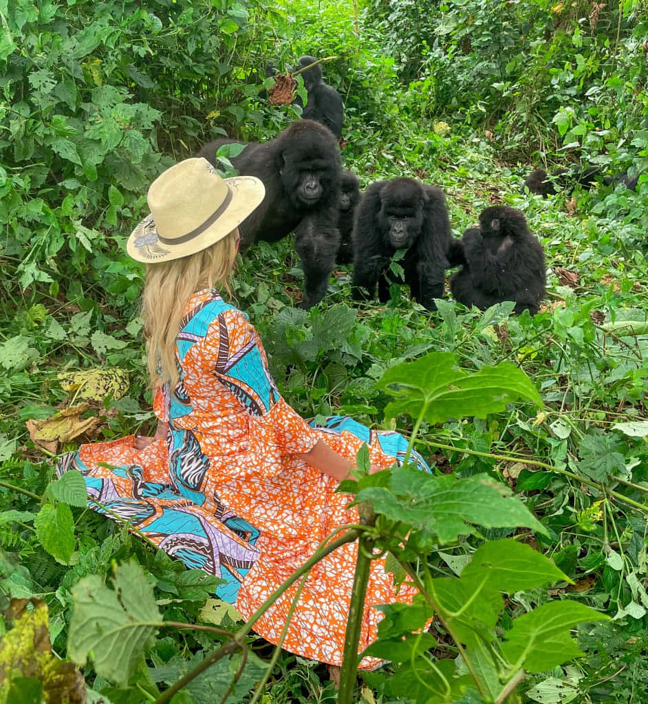 woman, mountain gorillas, vibrant orange and blue patterned dress, SD Phone Wallpaper