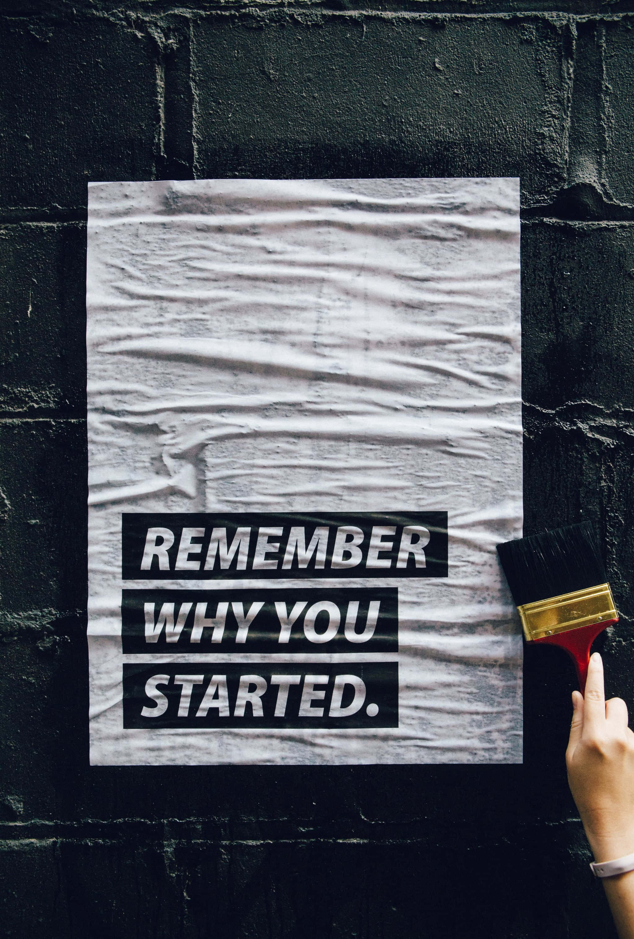 Dr. Seuss, REMEMBER WHY YOU STARTED, paintbrush, 2K Phone Wallpaper