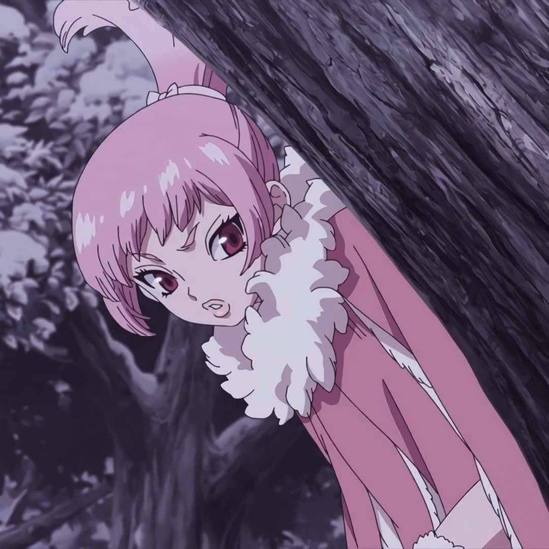 Dr Stone, Homura, pink-haired anime girl, SD Desktop Wallpaper