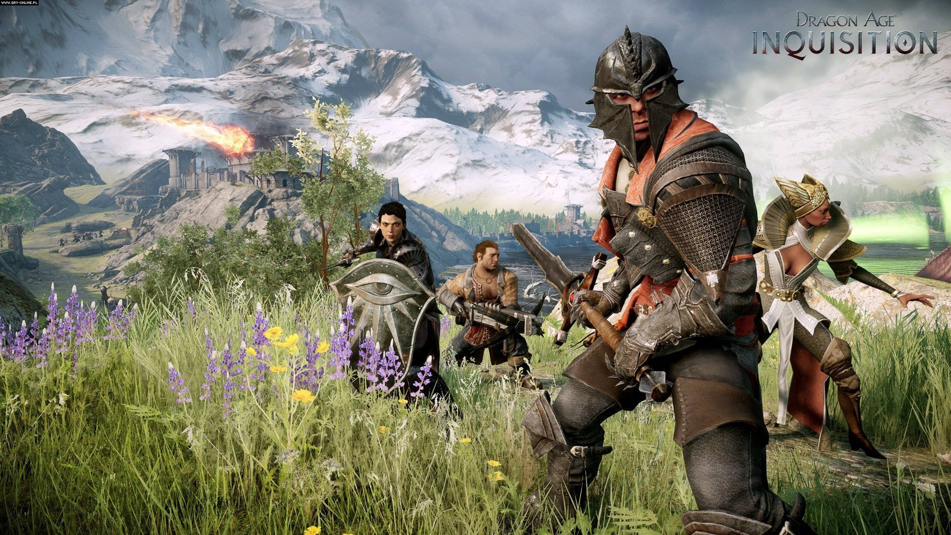 Dragon Age Inquisition, armored warriors, grassy field, Full HD Desktop Wallpaper