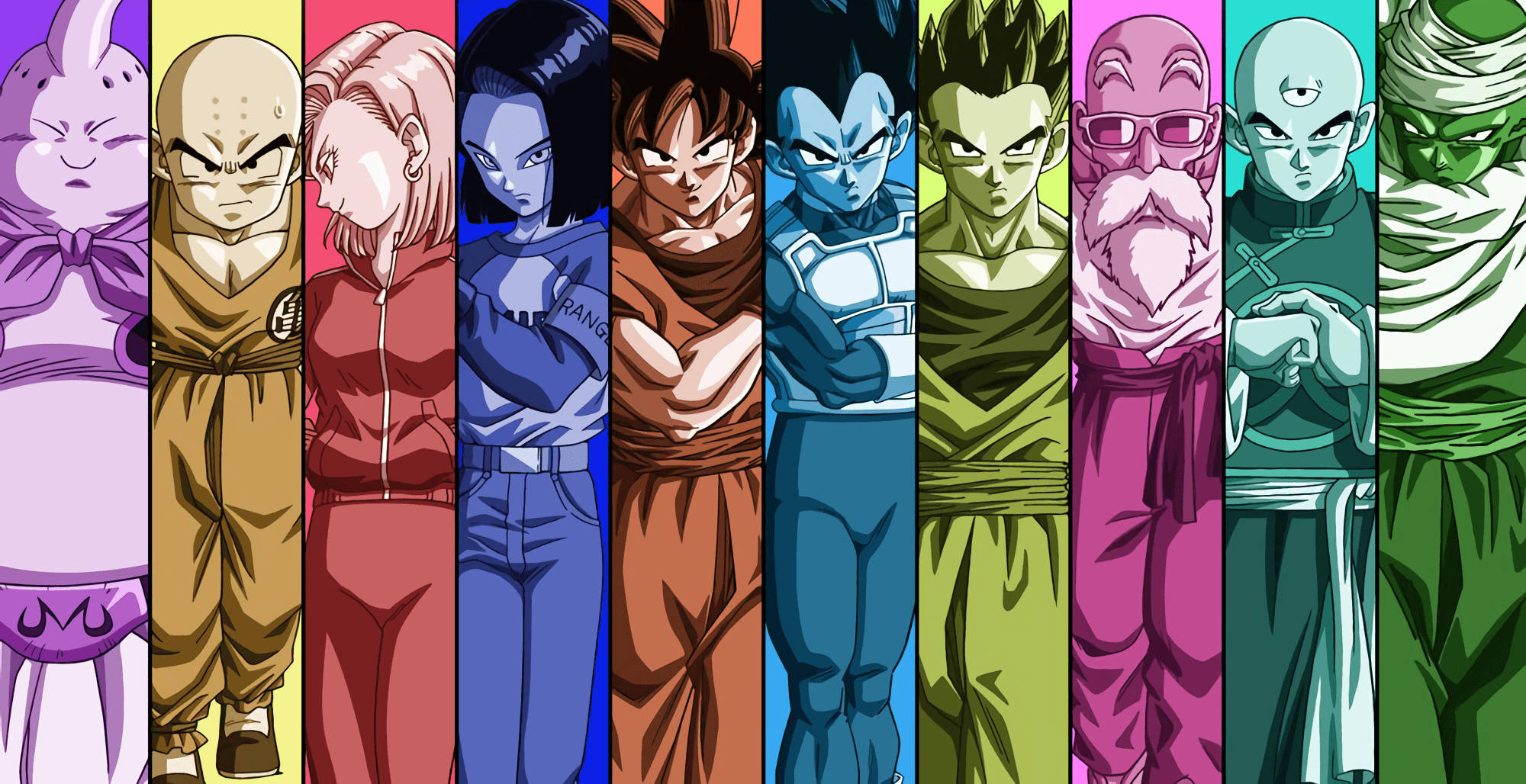 Dragon Ball, Dragon Ball characters, vertical lineup, Full HD Desktop Wallpaper