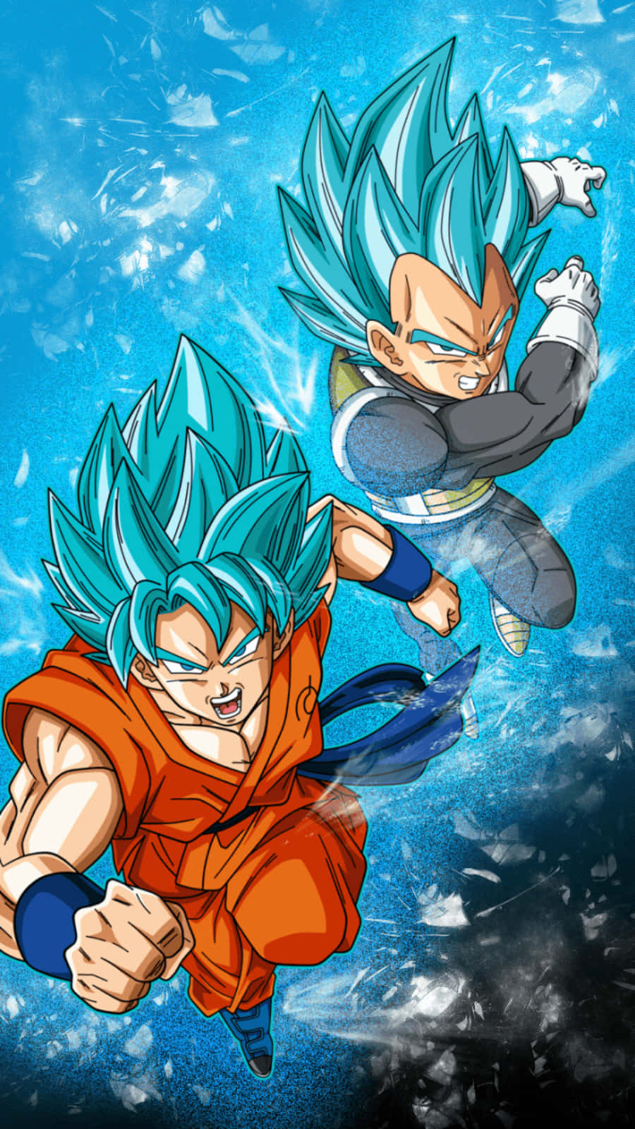 Dragon Ball Super, iPhone, blue-haired Saiyan warriors, HD Phone Wallpaper