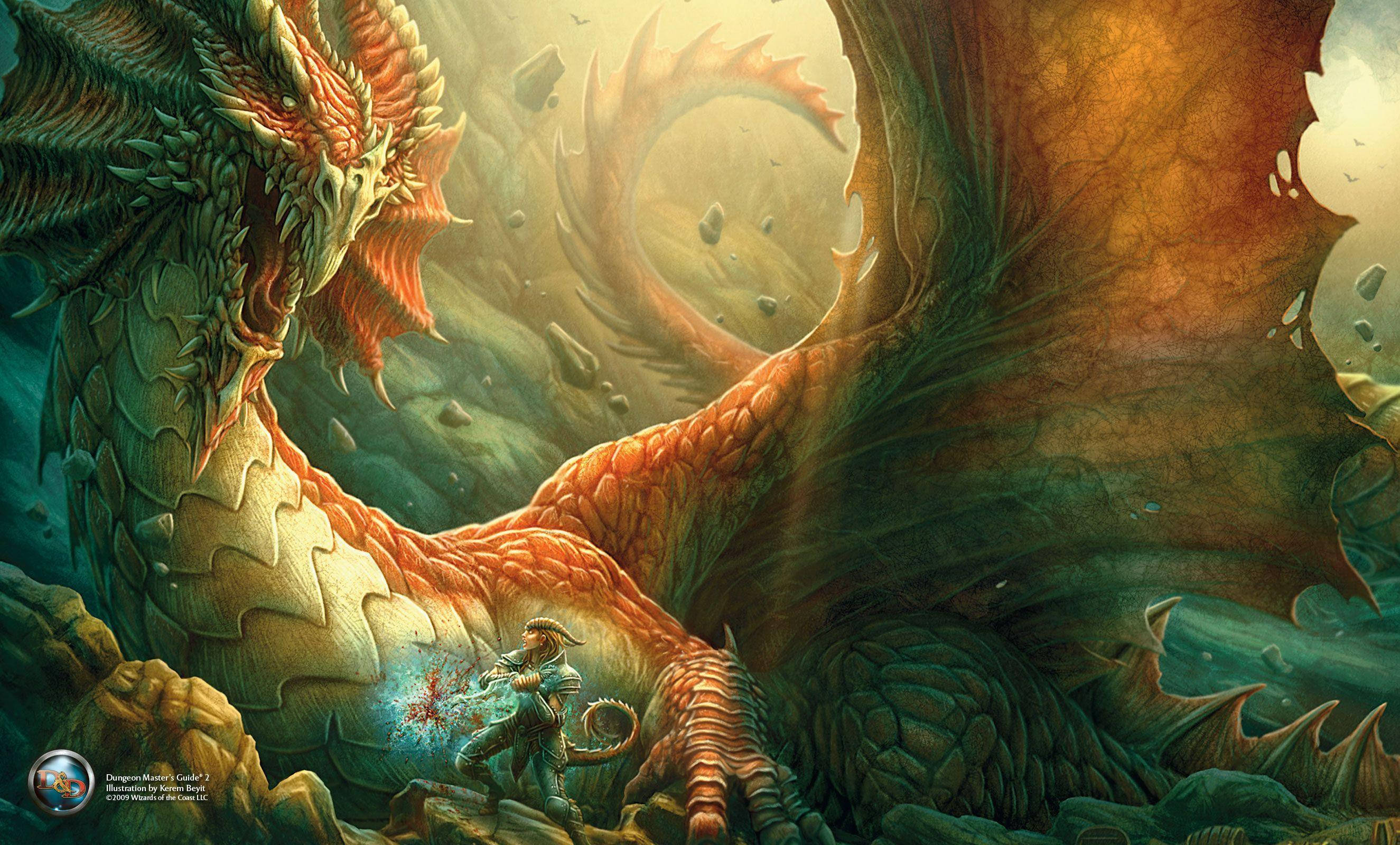 D&D, dragon, elf, 2K Desktop Wallpaper