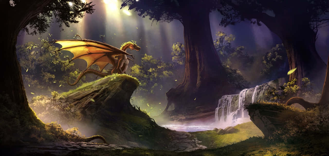 golden dragon, mossy rock, mystical forest, HD Desktop Wallpaper