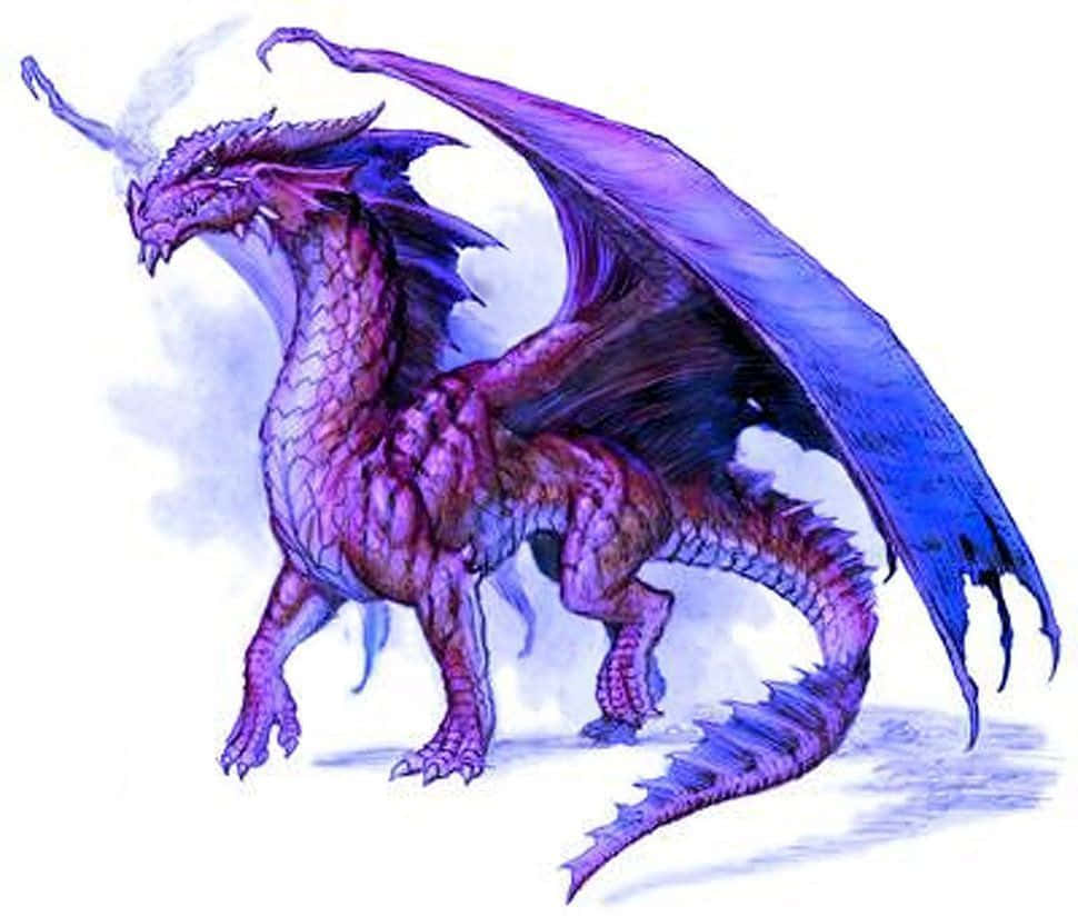 purple dragon, purple and blue dragon, detailed scales, SD Desktop Wallpaper