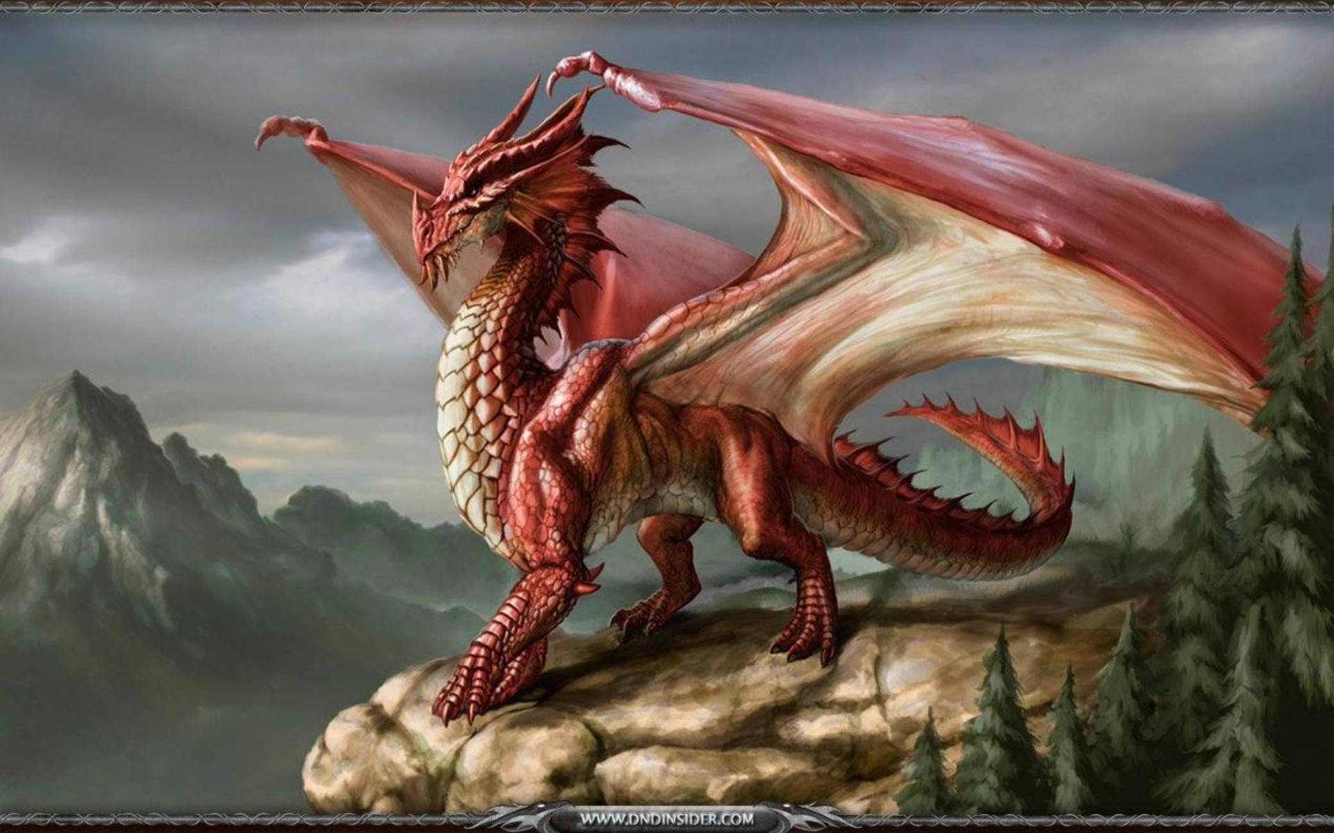 red dragon, rocky cliff, misty mountains, Full HD Desktop Wallpaper