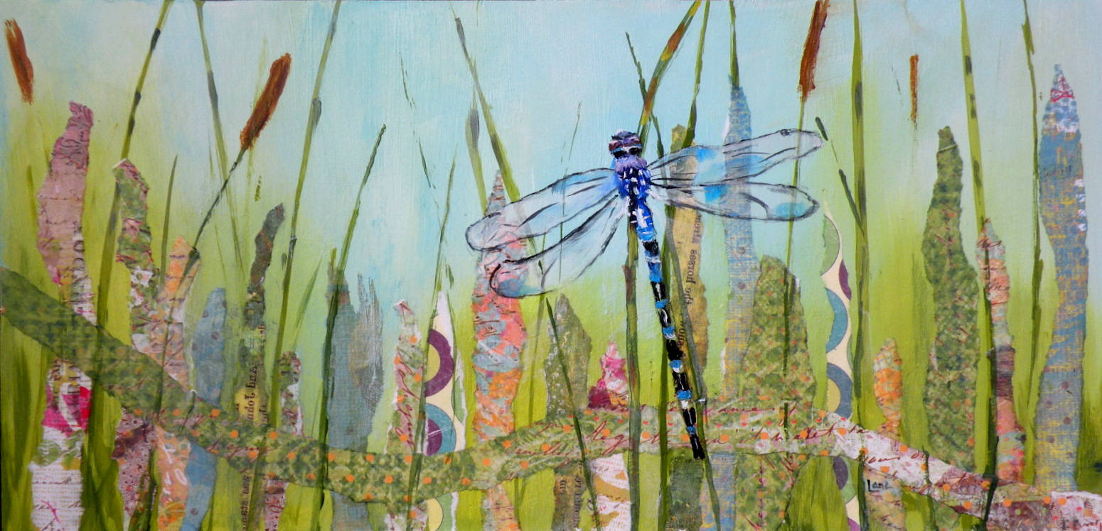 Dragonfly, grass, reeds, HD Desktop Wallpaper