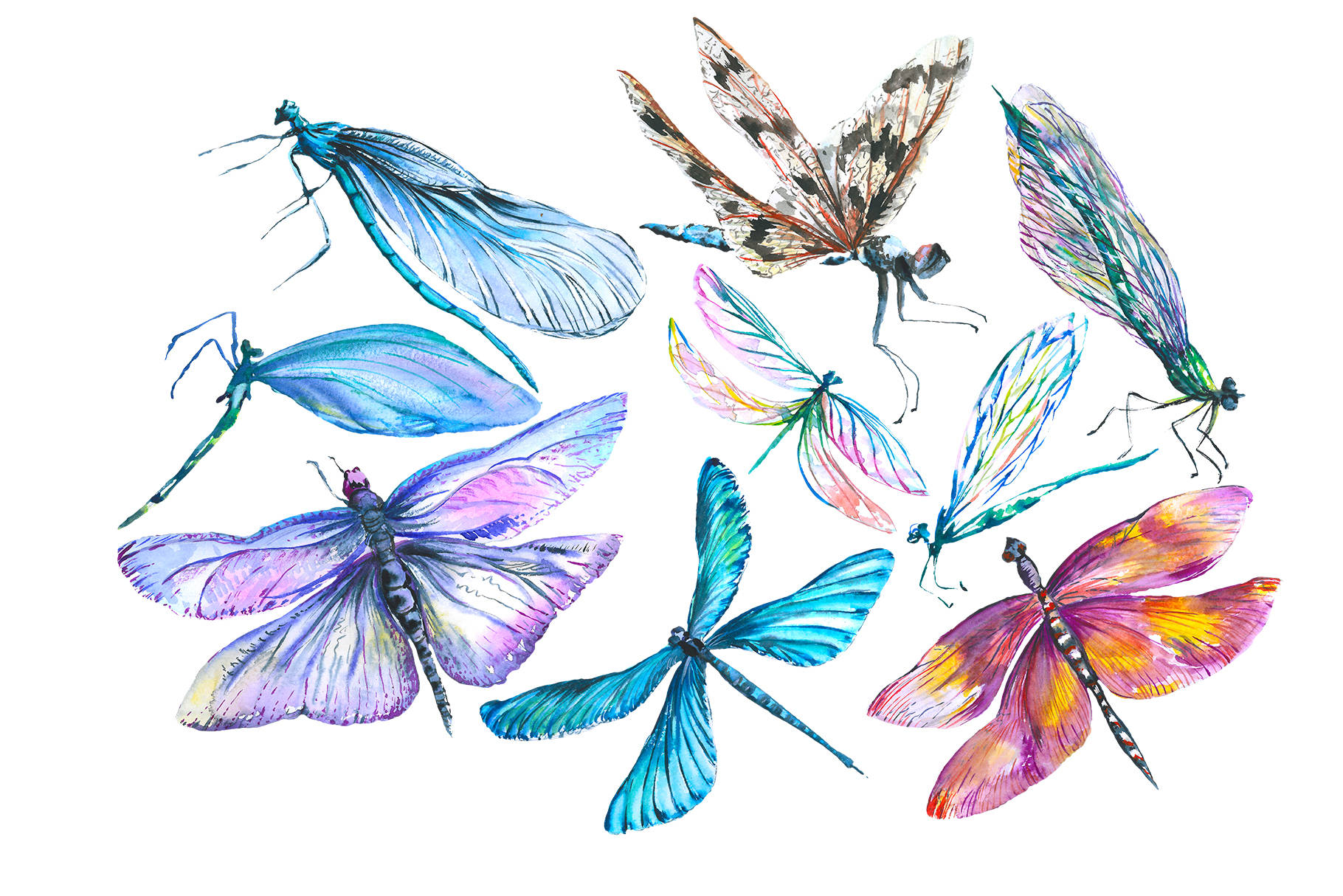 dragonfly, watercolor, blue, HD Desktop Wallpaper