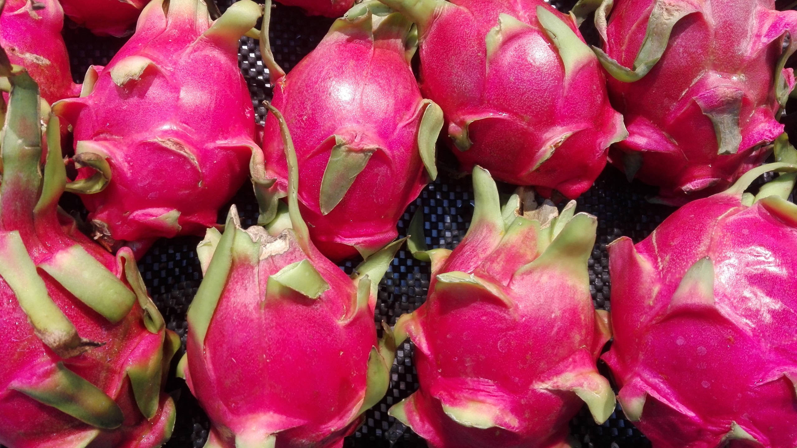 Dragonfruit, pink dragon fruits, green scales, 2K Desktop Wallpaper