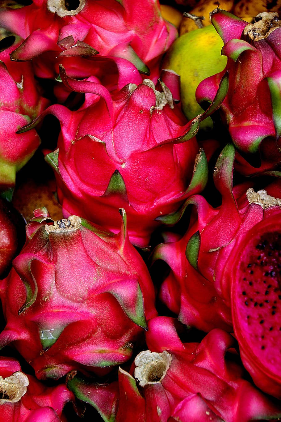 dragonfruit, pink dragon fruits, green scales, HD Phone Wallpaper