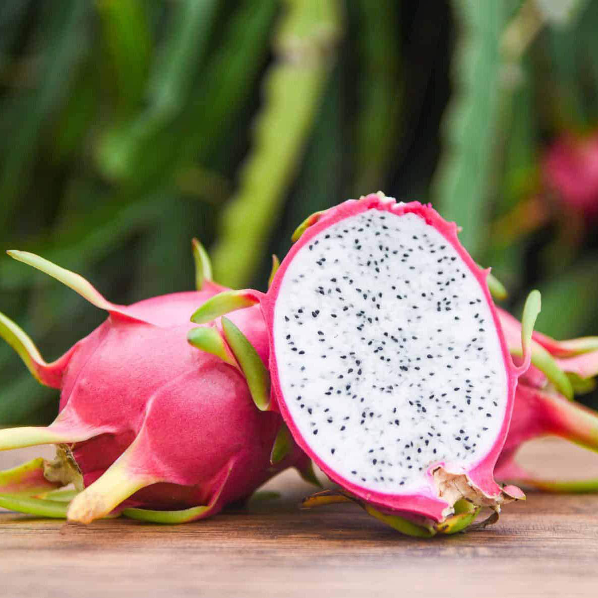 Dragonfruit, pink, white flesh, SD Desktop Wallpaper