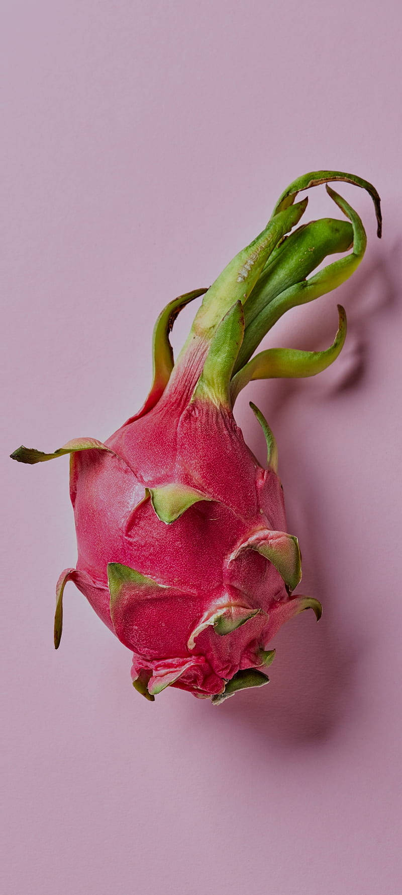 dragonfruit, pastel pink background, soft lavender background, HD Phone Wallpaper