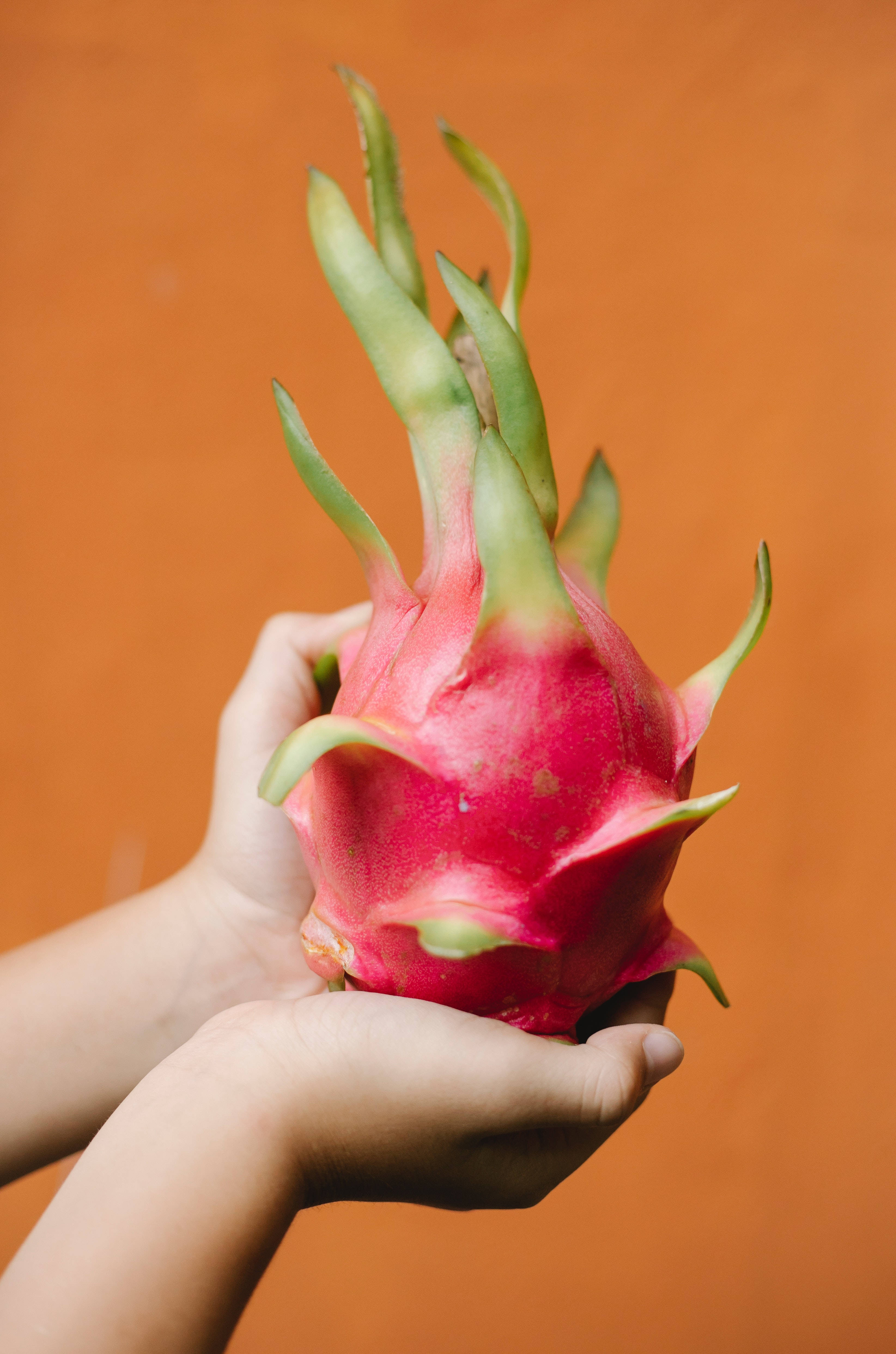 dragonfruit, vibrant pink, green spines, 4K Phone Wallpaper