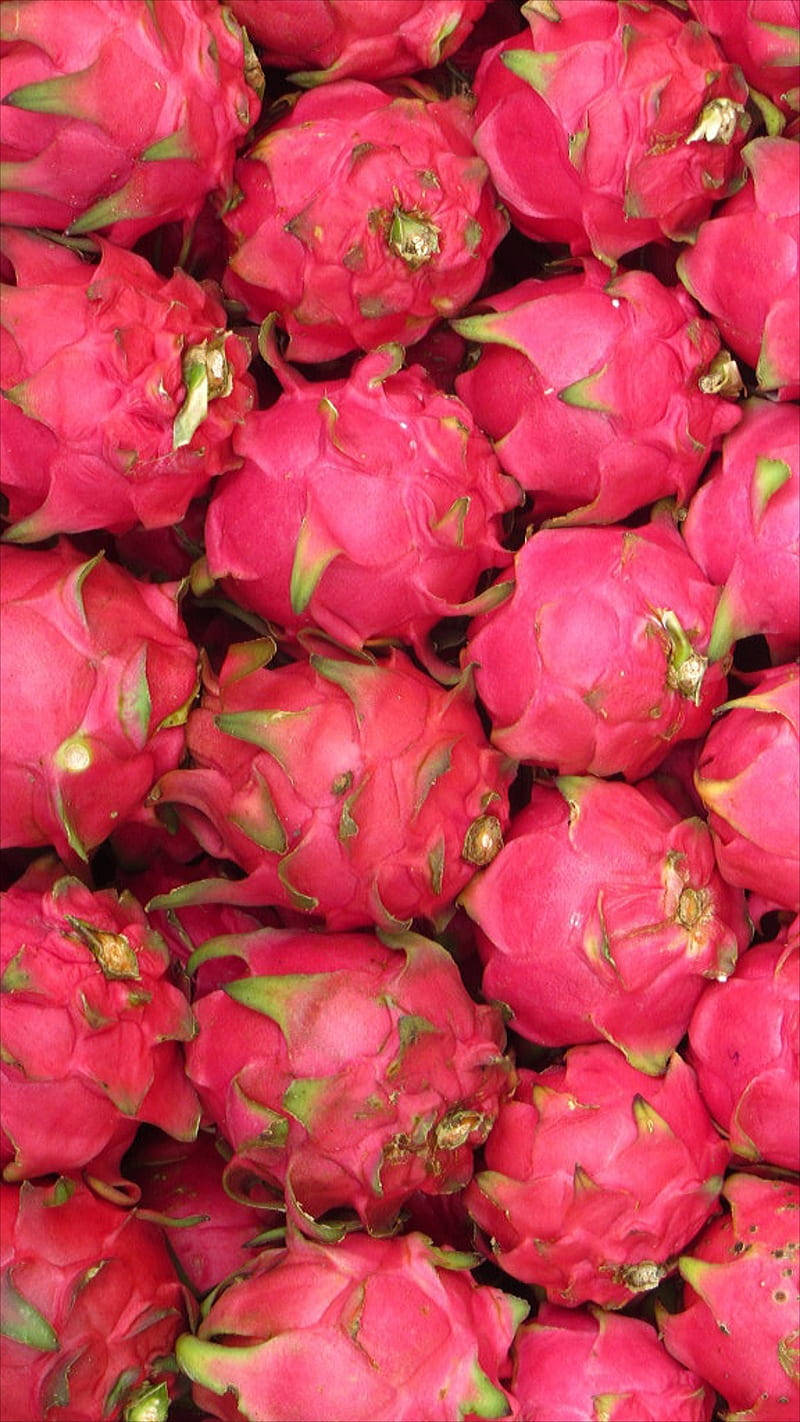 Dragonfruit, pink dragon fruits, green scales, HD Phone Wallpaper