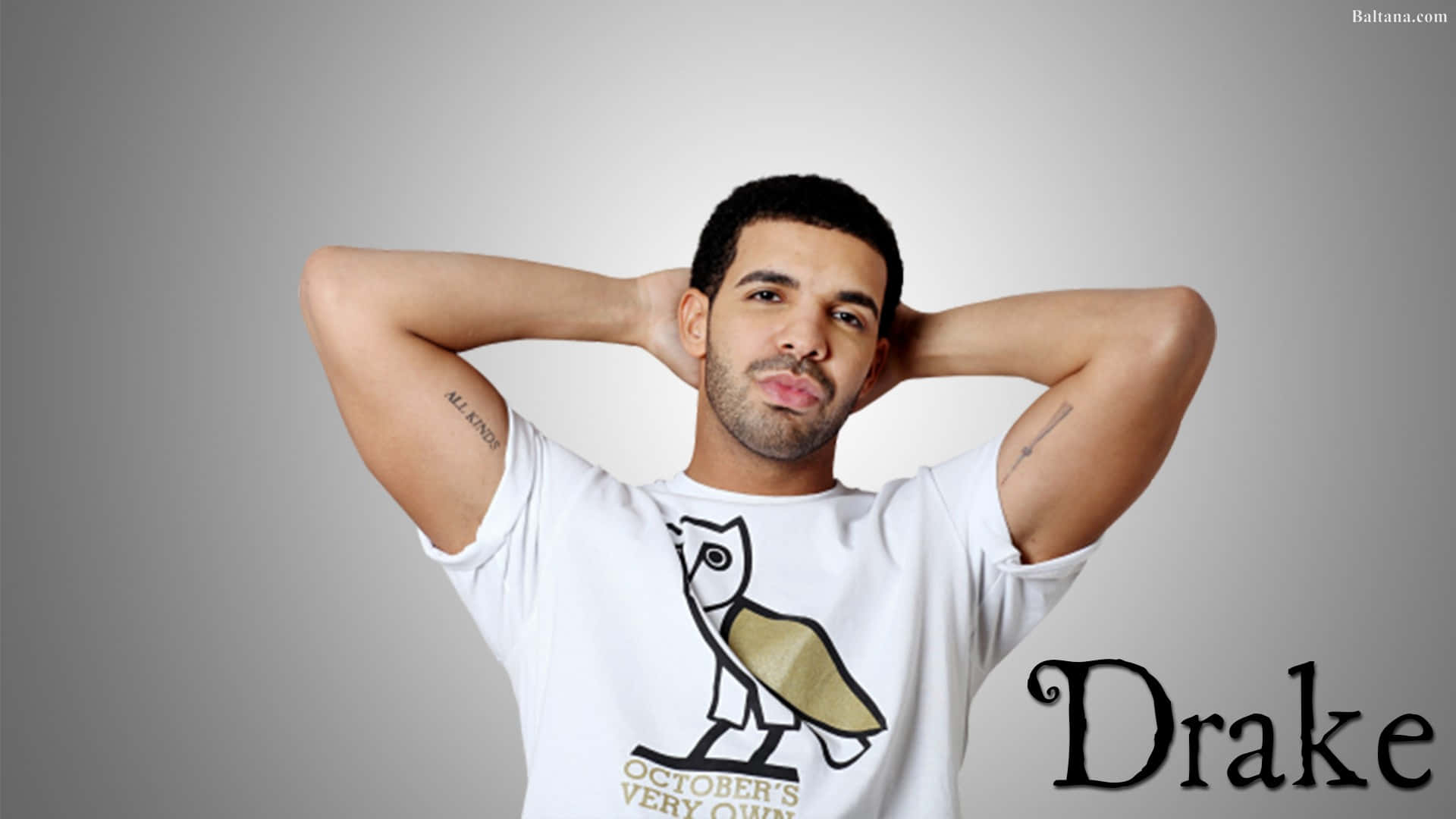 Drake Computer, 1920 x 1080, owl graphic, Full HD Desktop Wallpaper