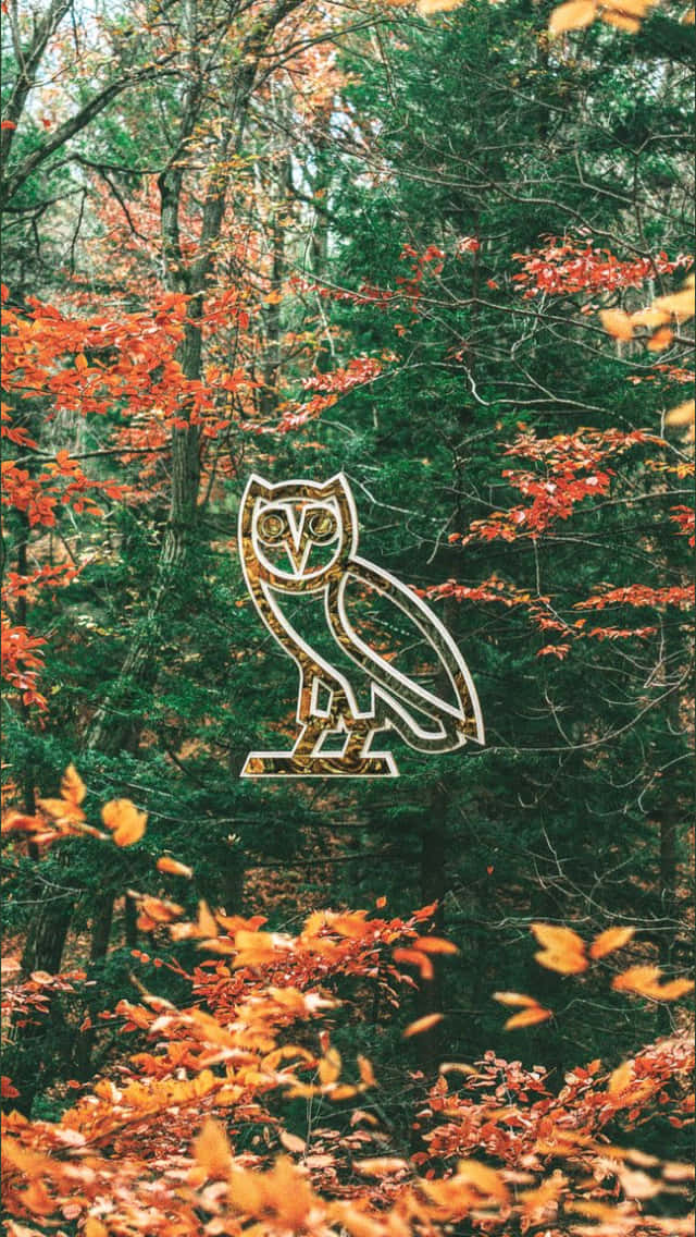 Drake Ovo Owl iPhone, owl logo, autumn forest, SD Phone Wallpaper