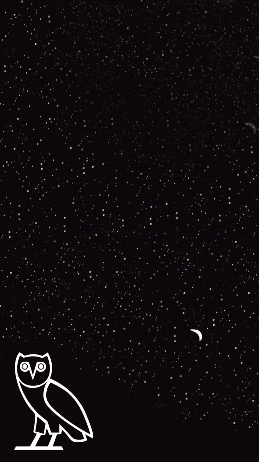 Drake OVO Owl iPhone, owl, starry night sky, HD Phone Wallpaper