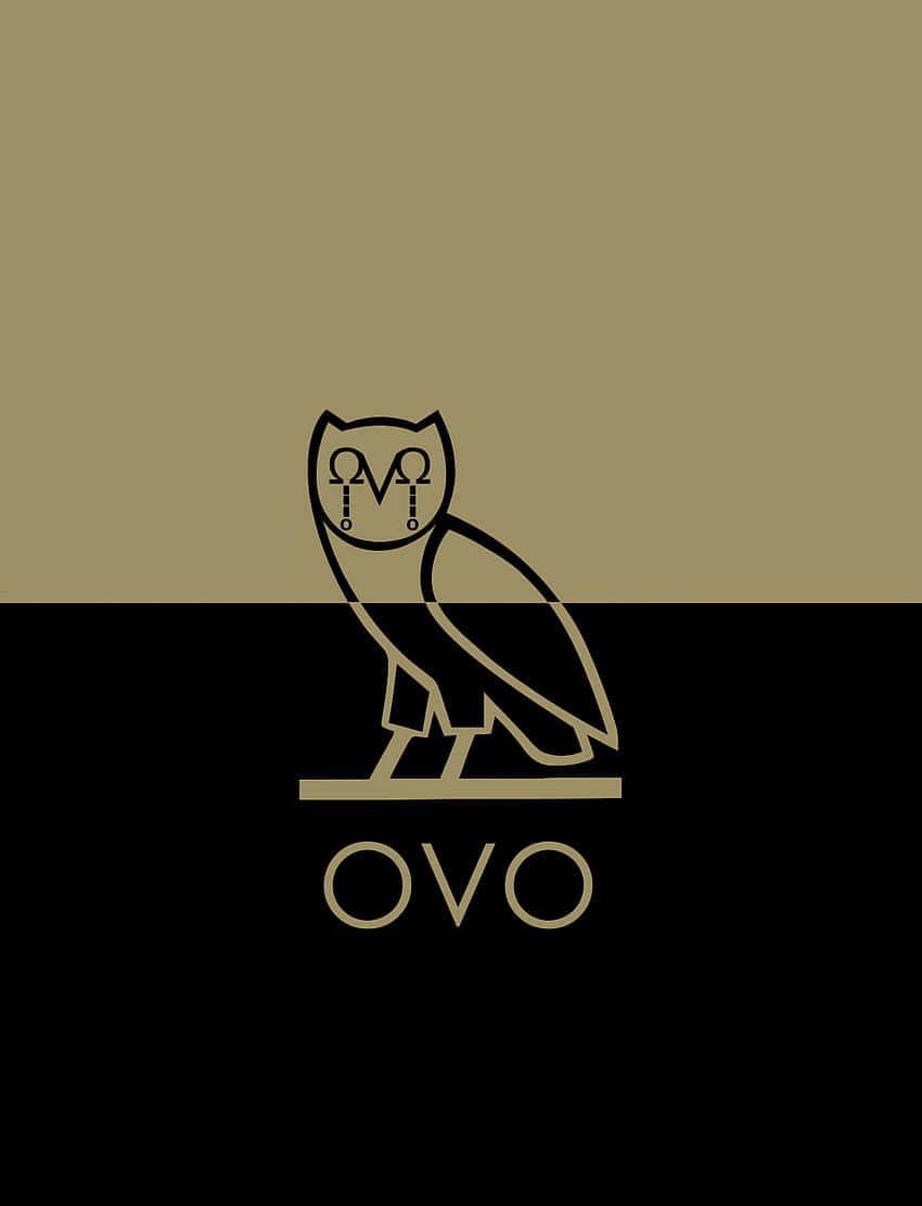 OVO Owl, Drake, iPhone, SD Phone Wallpaper