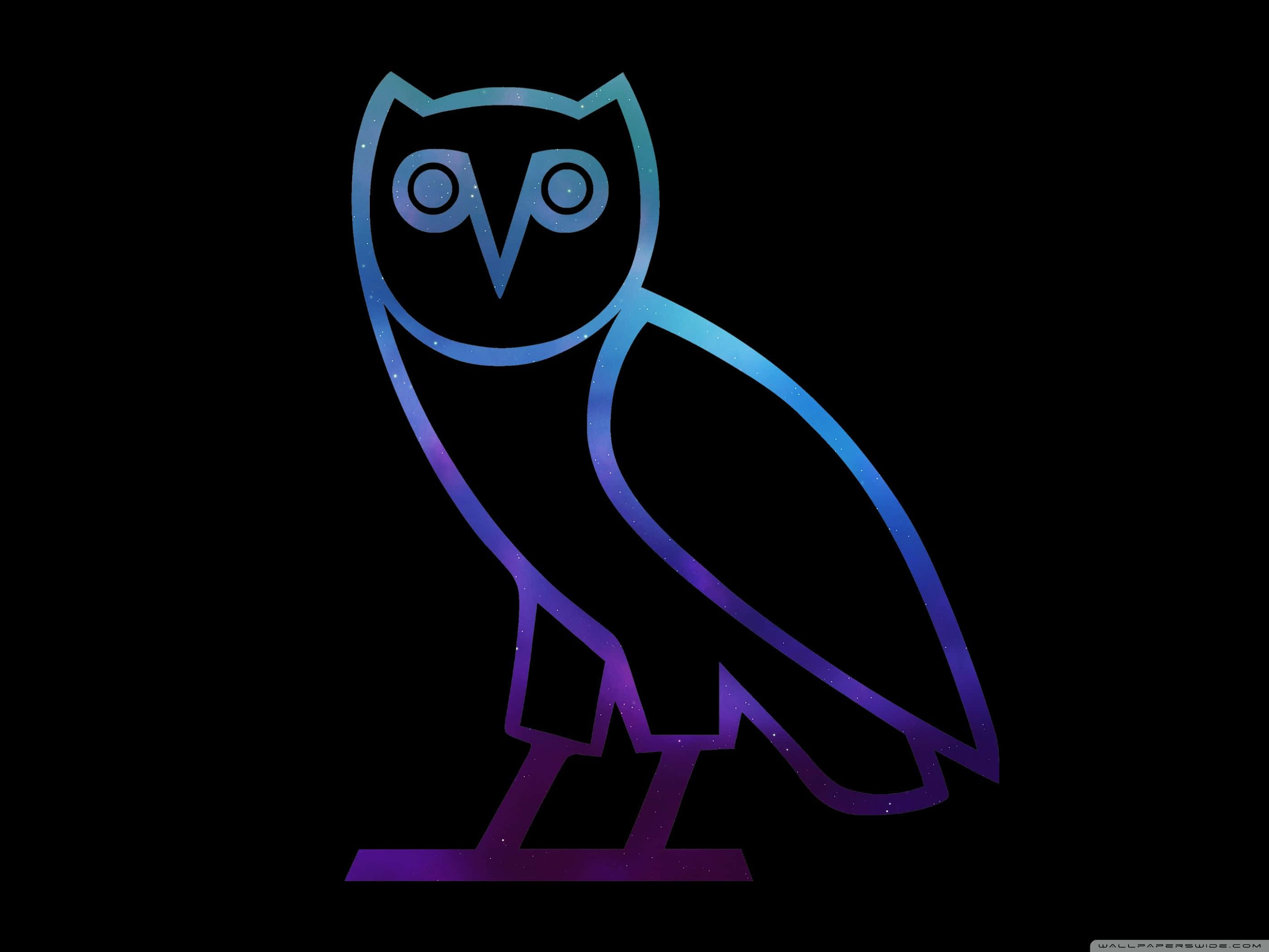 Drake, OVO, Owl, 2K Desktop Wallpaper