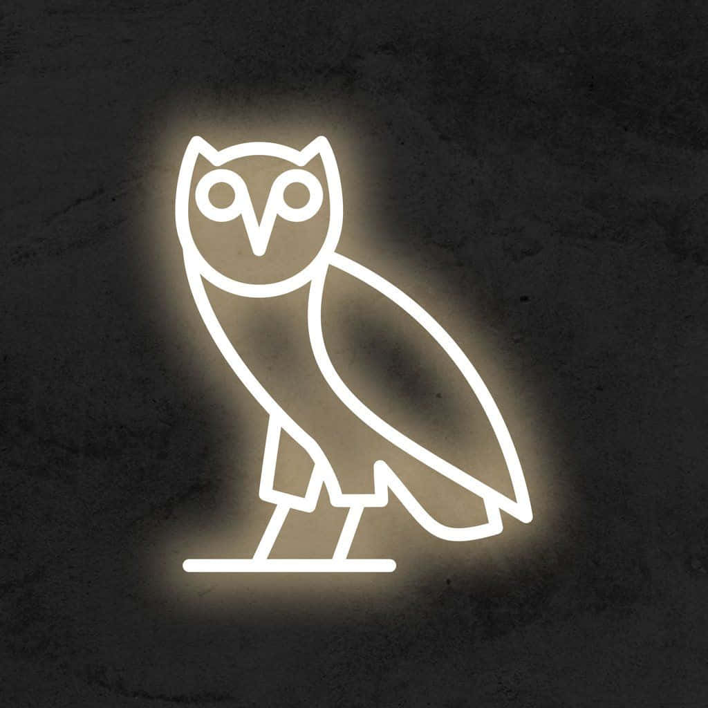 Drake OVO Owl, owl, neon outline, SD Desktop Wallpaper