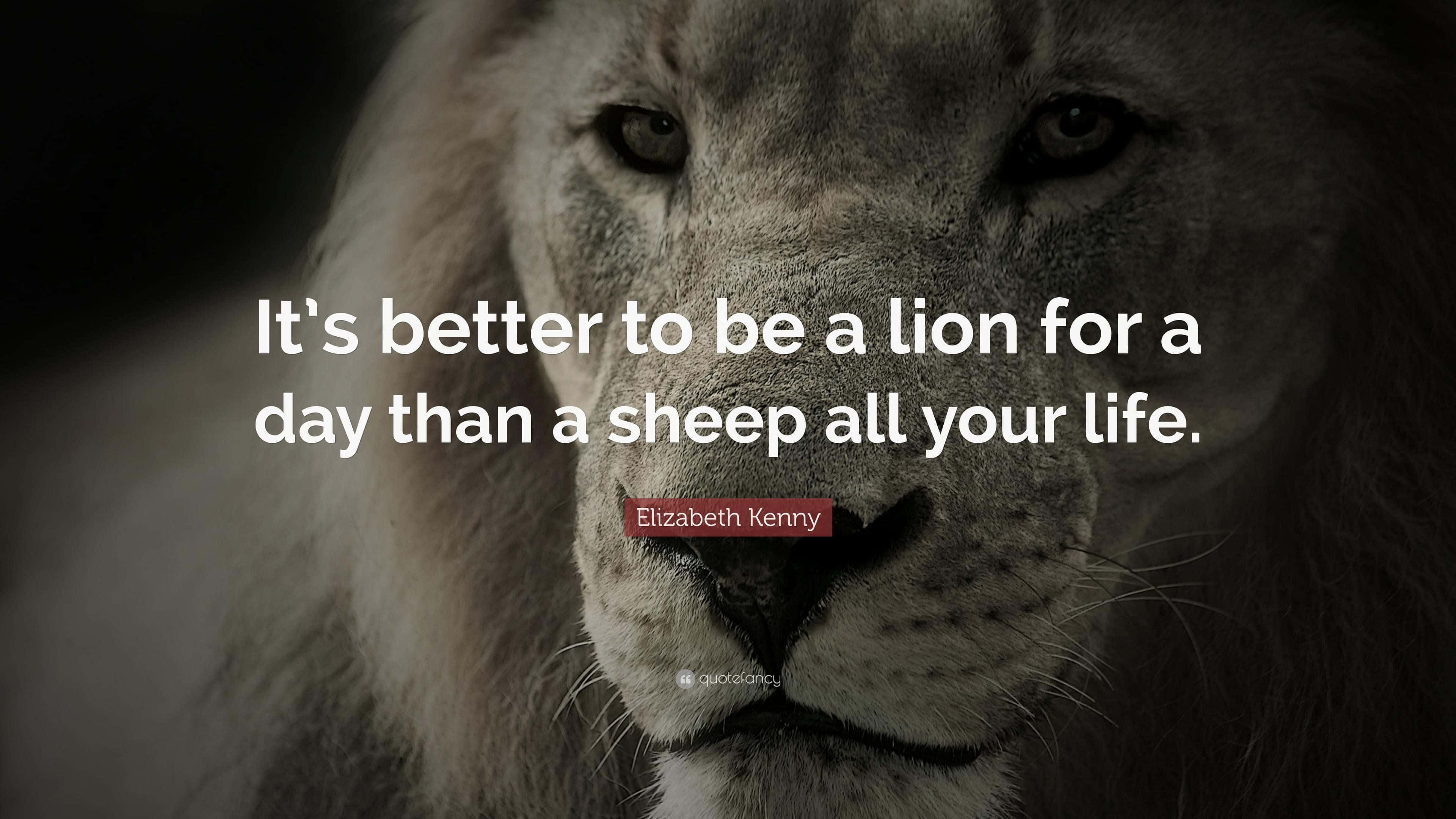 lion, Courage is being scared to death, but saddling up anyway, dark background, 4K Desktop Wallpaper
