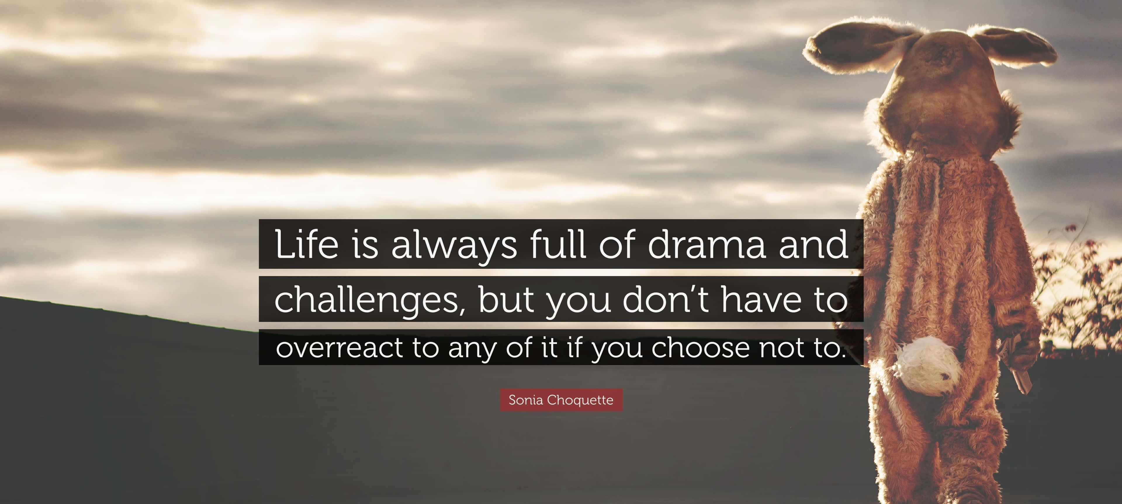 Drama Quote, rabbit costume, sunset, 4K Desktop Wallpaper