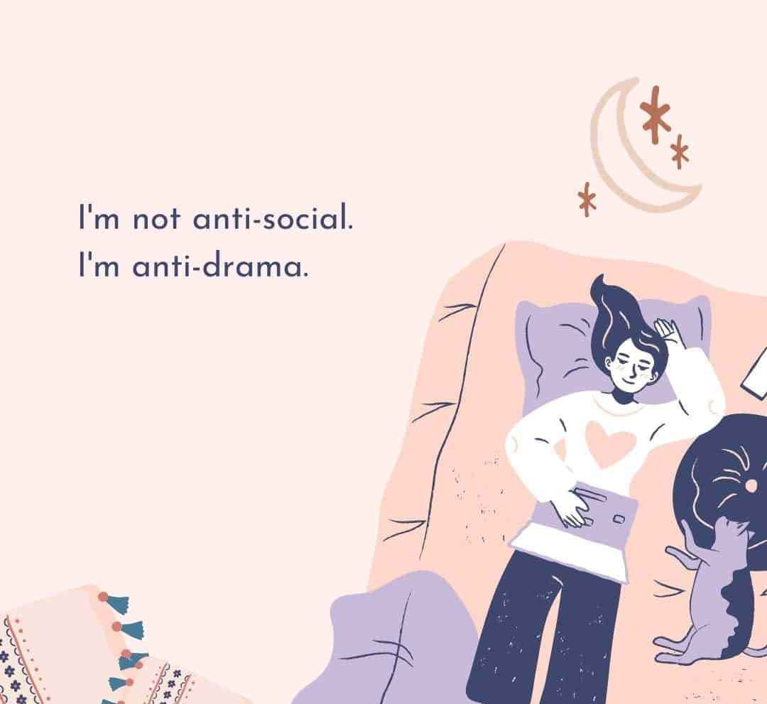 anti-drama, couch, cat, SD Desktop Wallpaper