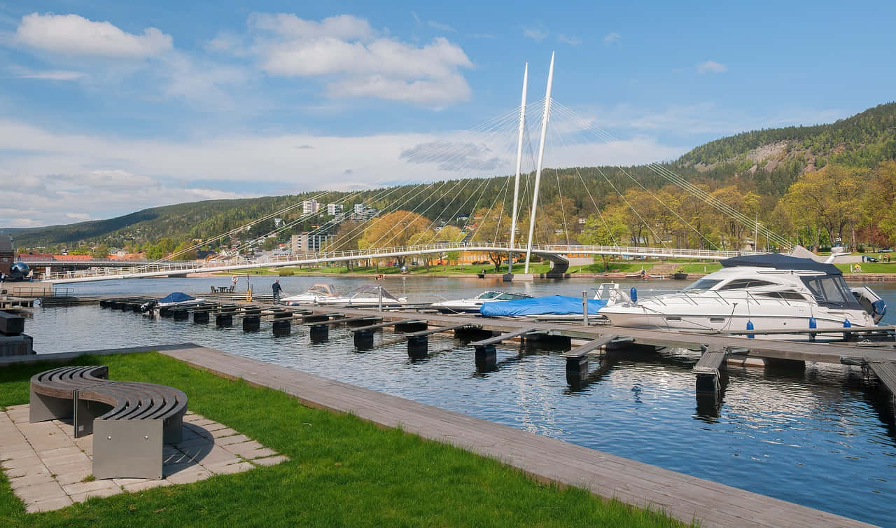 Drammen, sunset, modern white cable-stayed bridge, HD Desktop Wallpaper