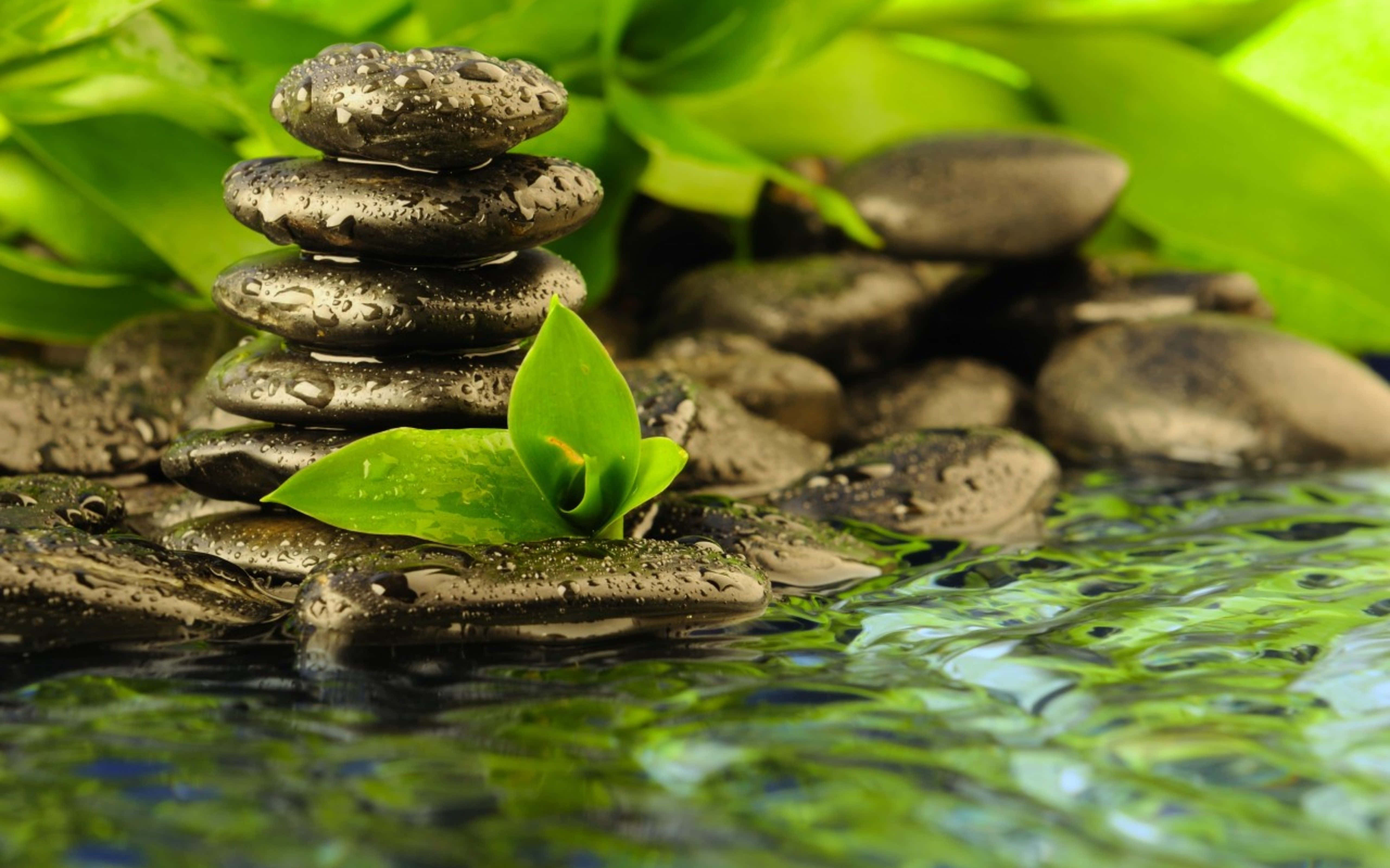therapeutic desktop, 5120 x 3200, wet river stones, 5K Desktop Wallpaper
