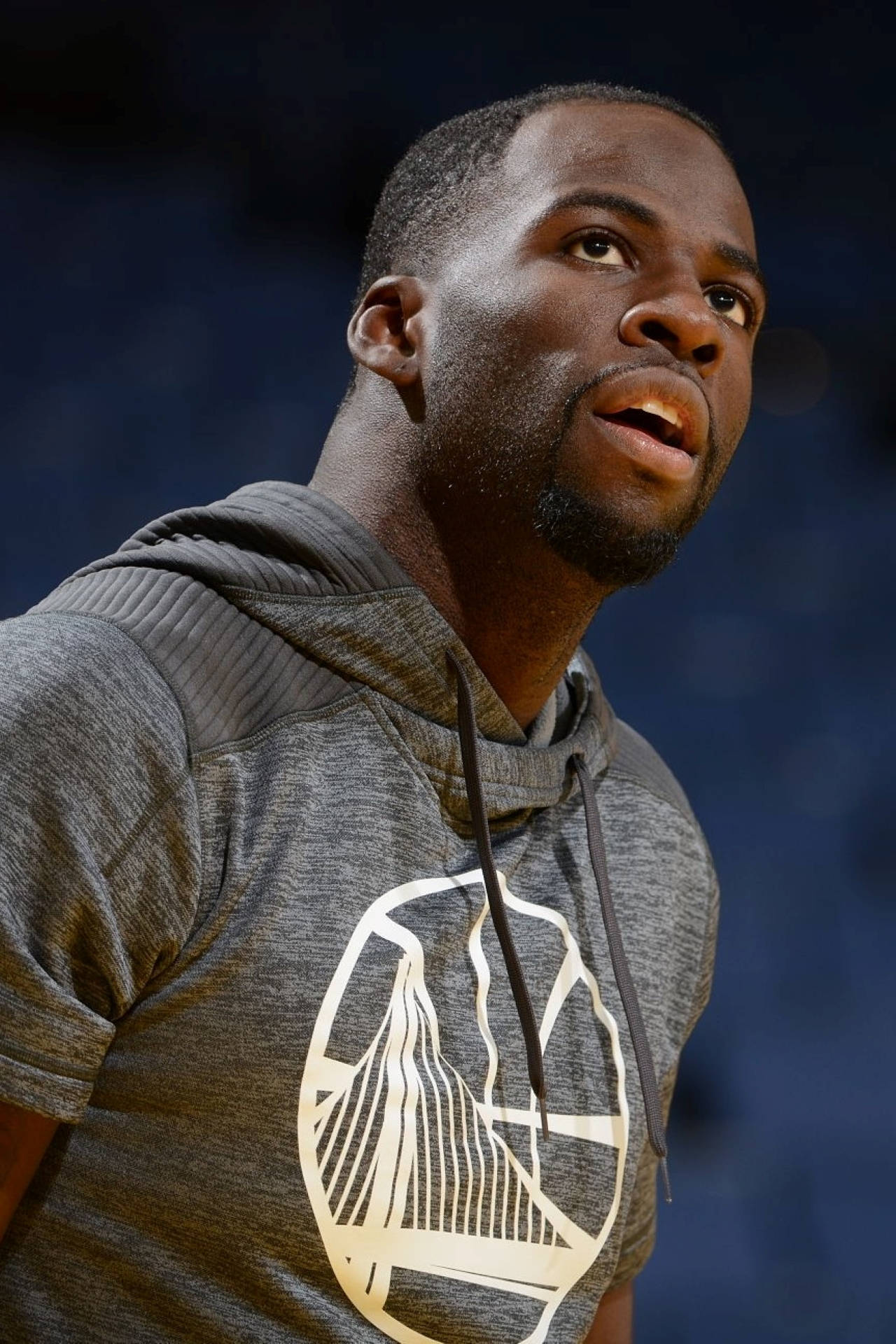 Draymond Green, gray hoodie, gold team logo, Full HD Phone Wallpaper